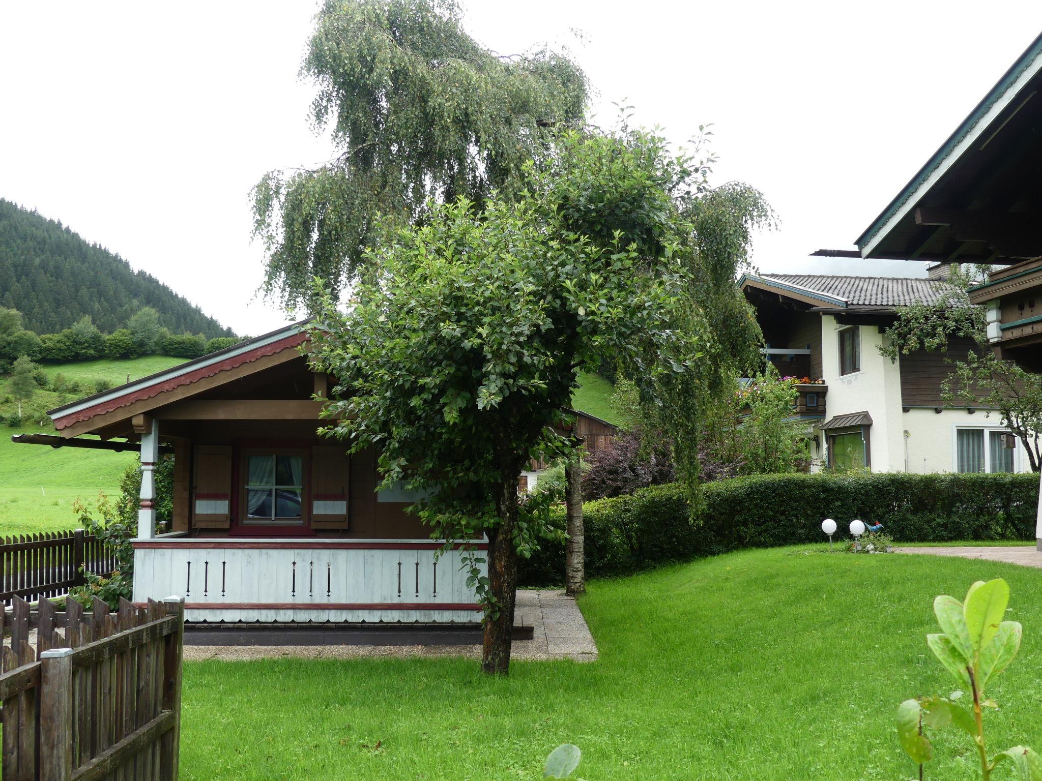 Photo 51 - 4 bedroom House in Neukirchen am Großvenediger with terrace and mountain view