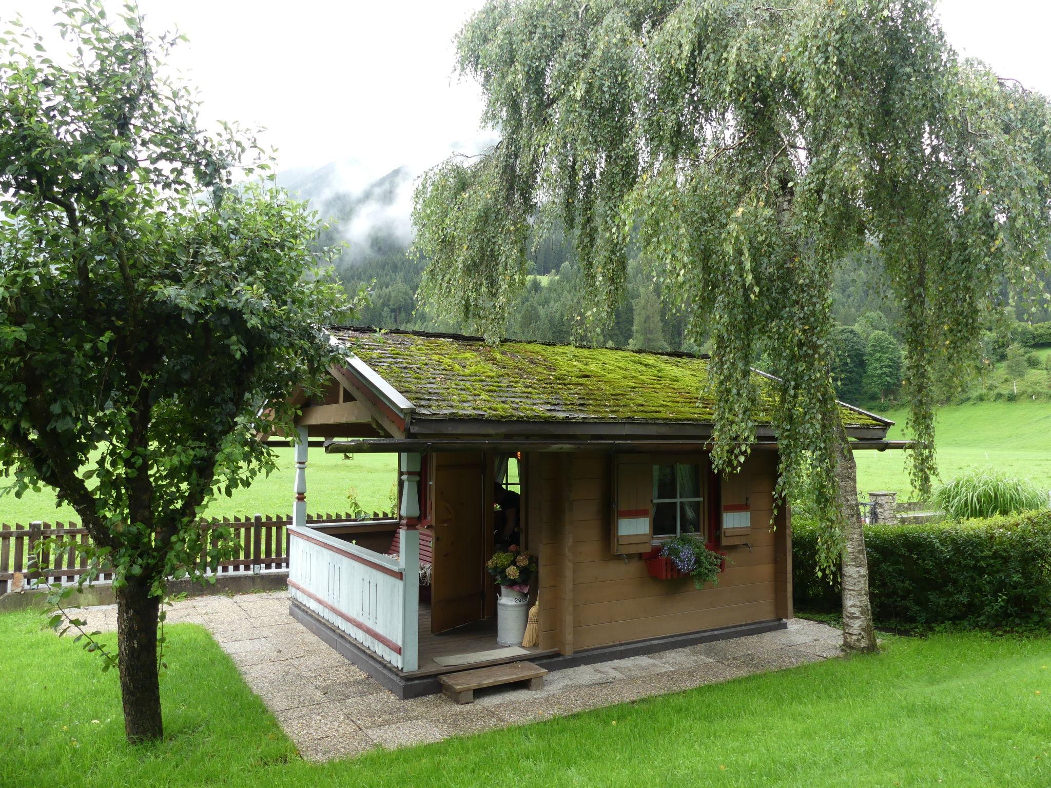 Foto 2 - Casa con 4 camere da letto a Neukirchen am Großvenediger con terrazza e vista sulle montagne