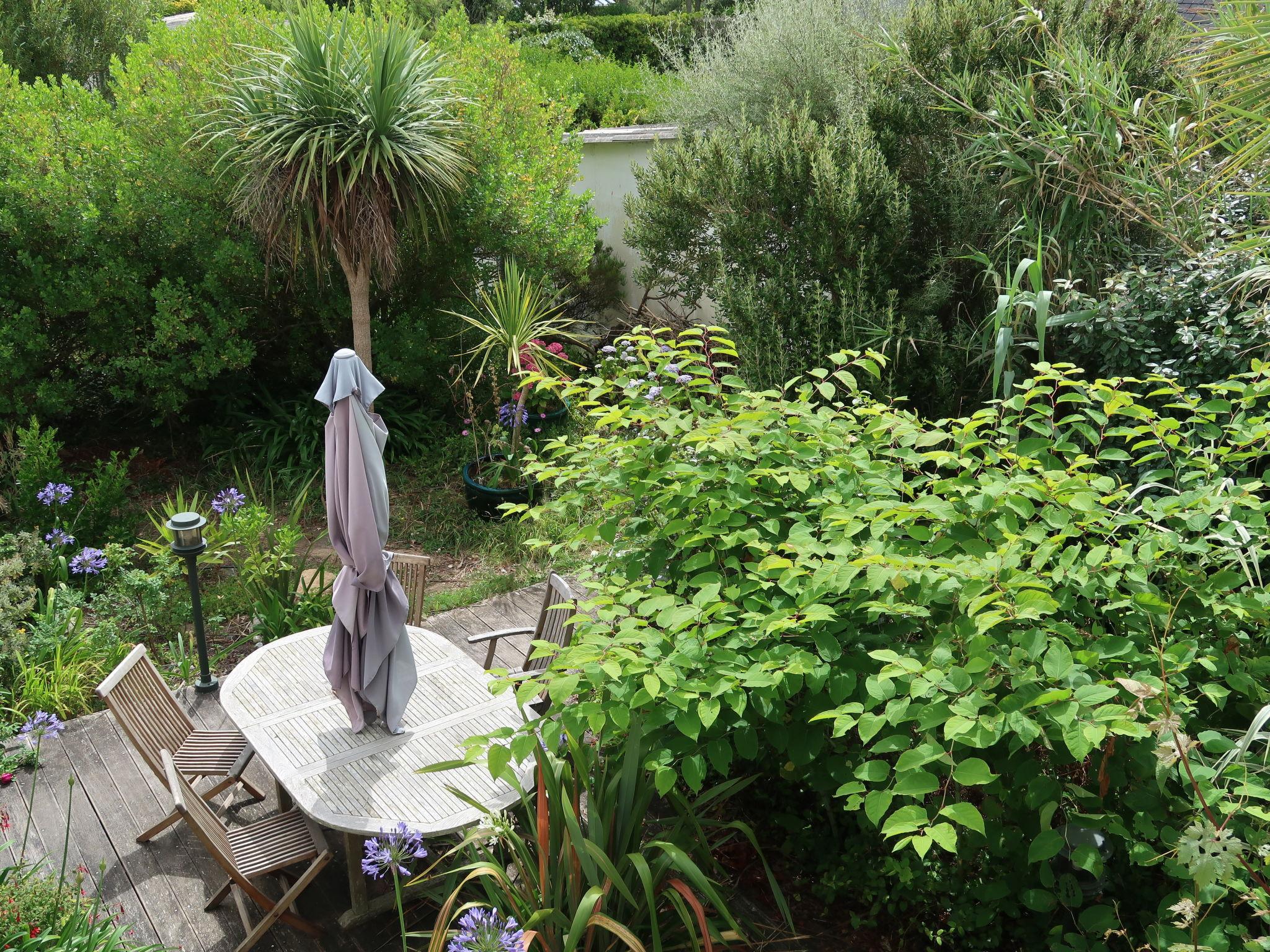 Photo 13 - Maison de 1 chambre à Loctudy avec jardin et vues à la mer