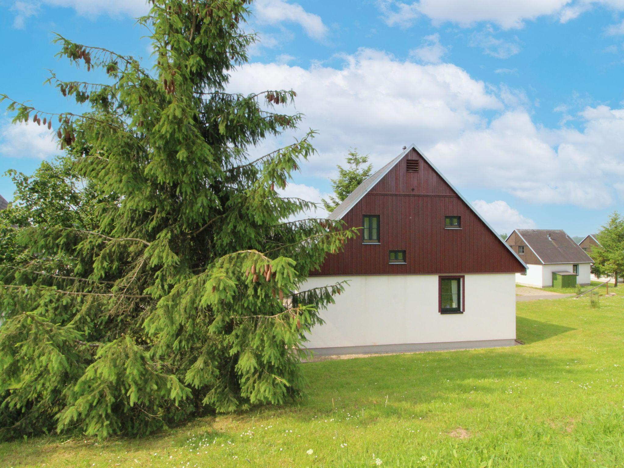 Foto 20 - Casa de 3 quartos em Černý Důl com piscina e jardim