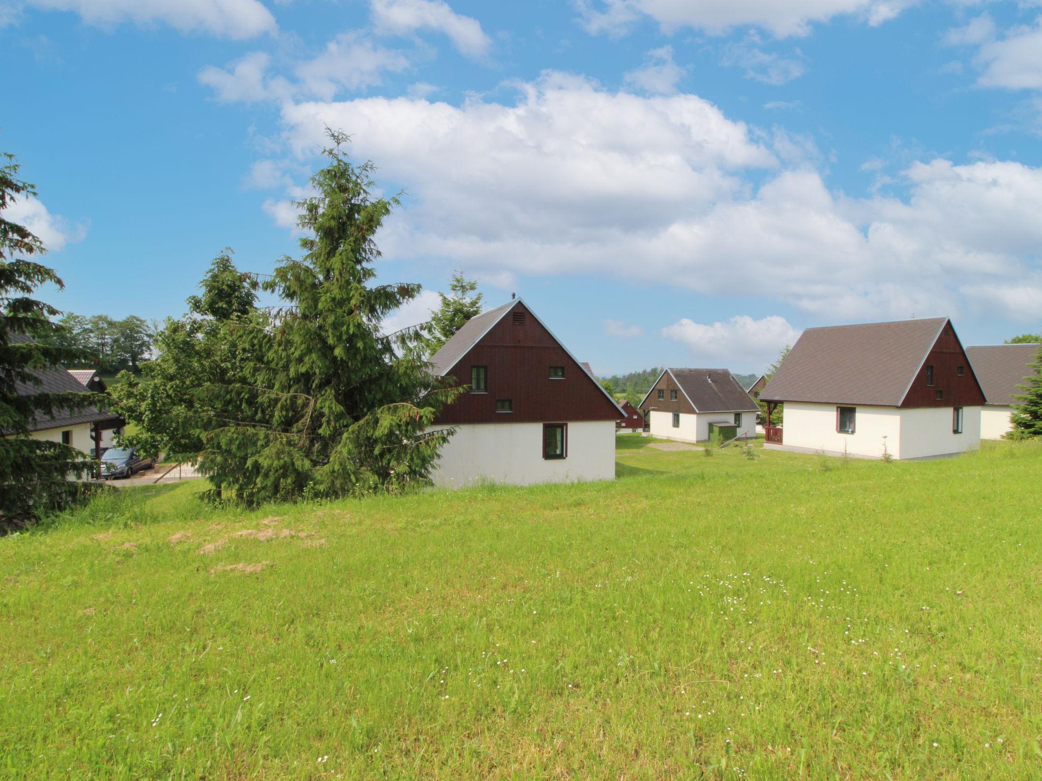 Foto 23 - Casa con 3 camere da letto a Černý Důl con piscina e giardino