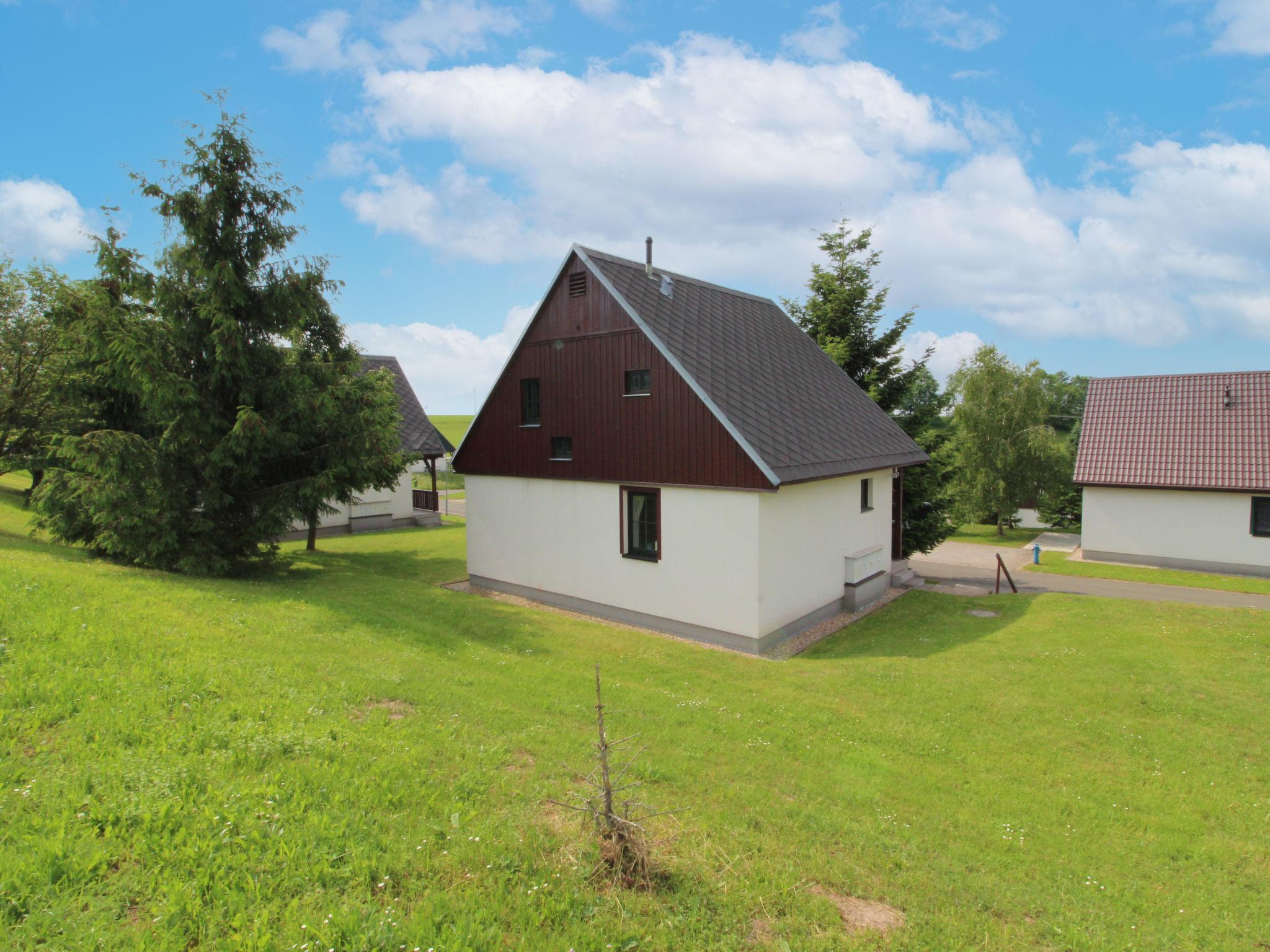 Foto 21 - Casa con 3 camere da letto a Černý Důl con piscina e giardino