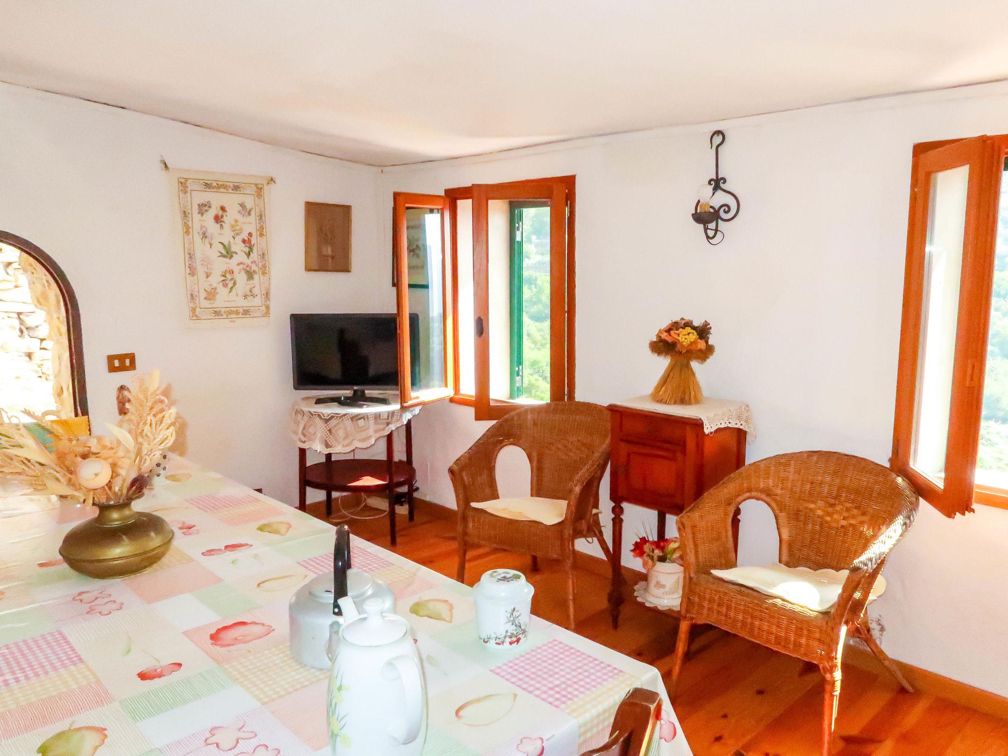 Photo 10 - 3 bedroom House in Ceriana with garden and terrace