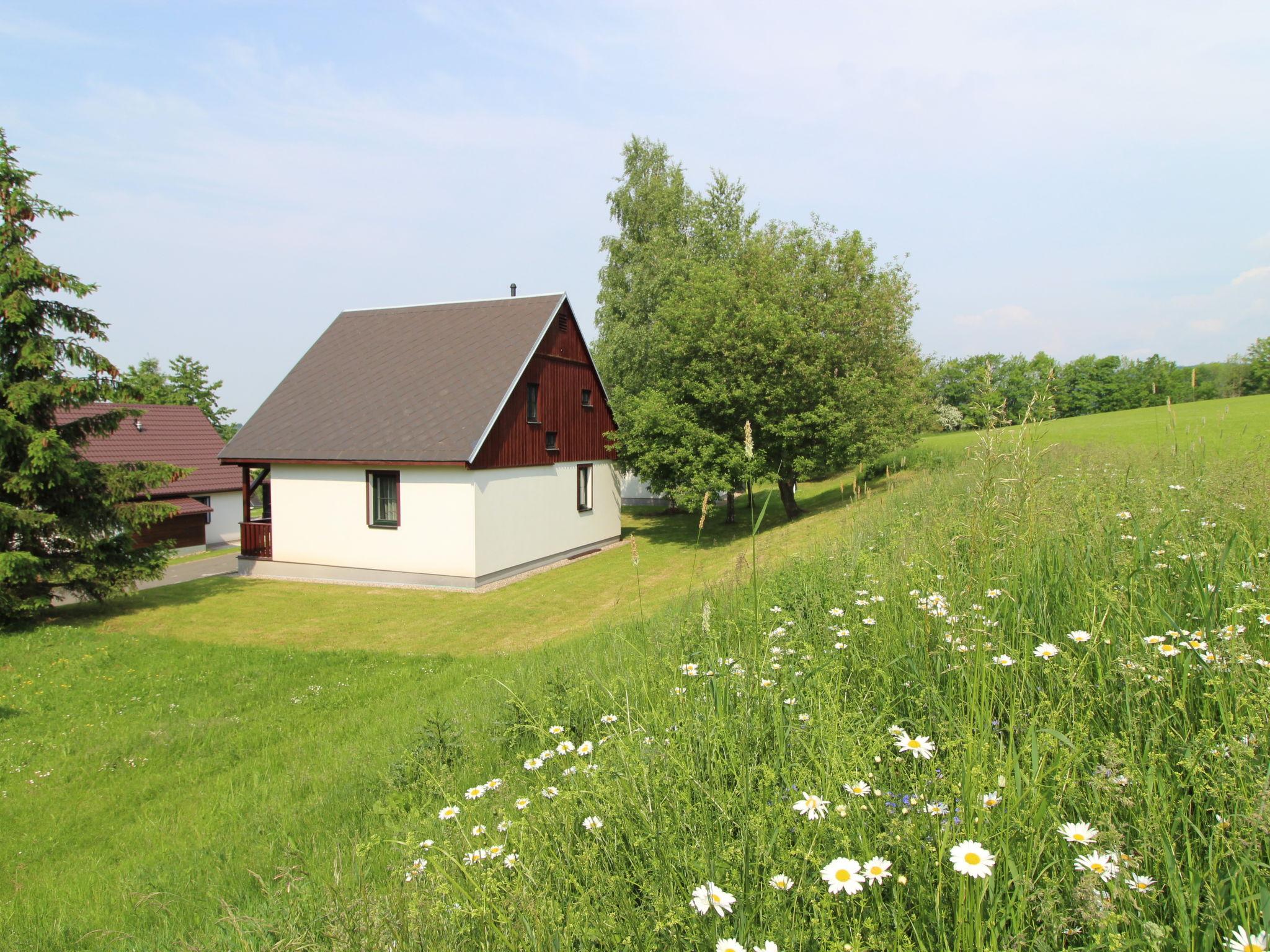 Foto 22 - Casa de 3 quartos em Černý Důl com piscina e vista para a montanha