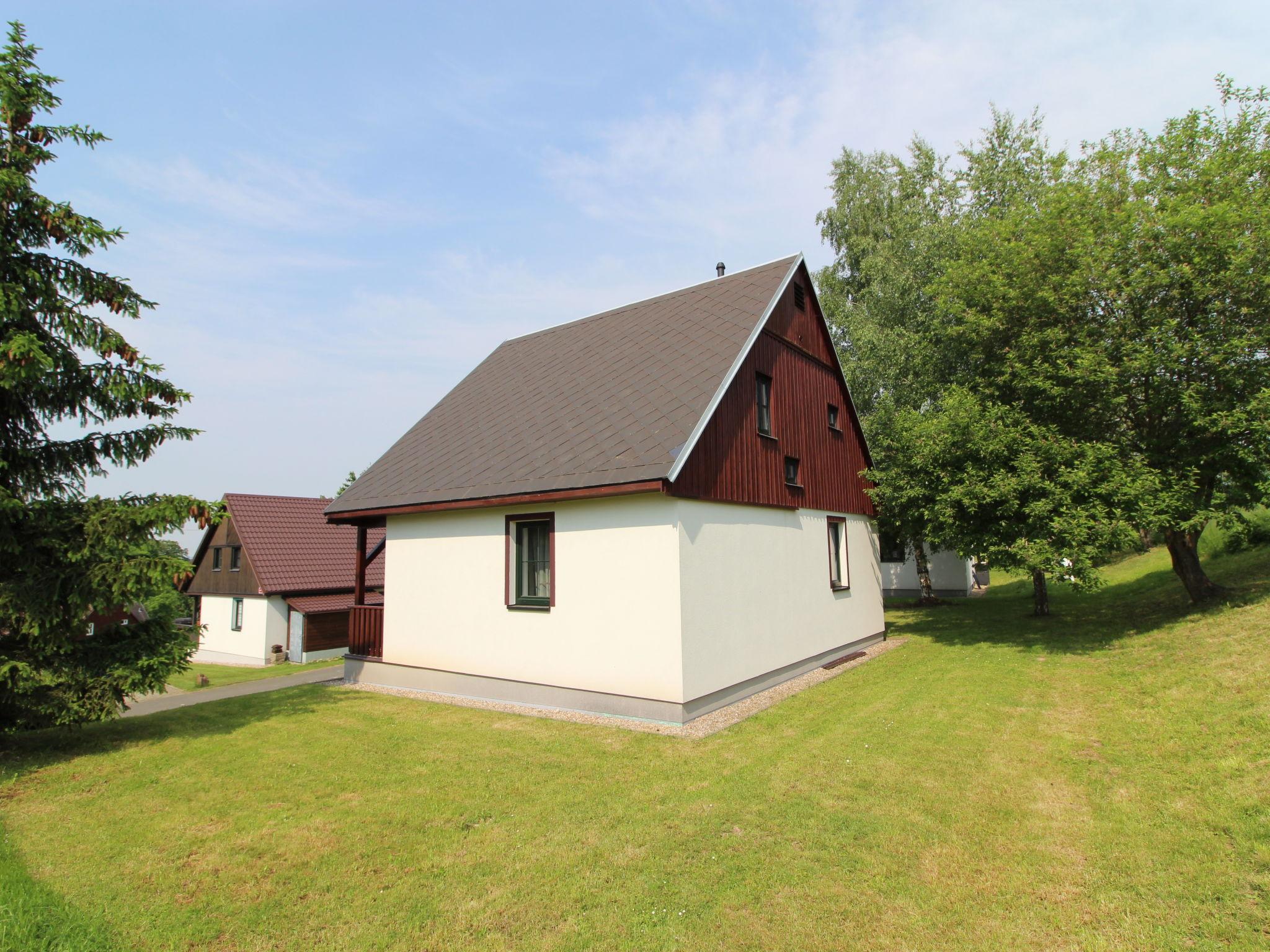 Foto 25 - Casa con 3 camere da letto a Černý Důl con piscina e giardino