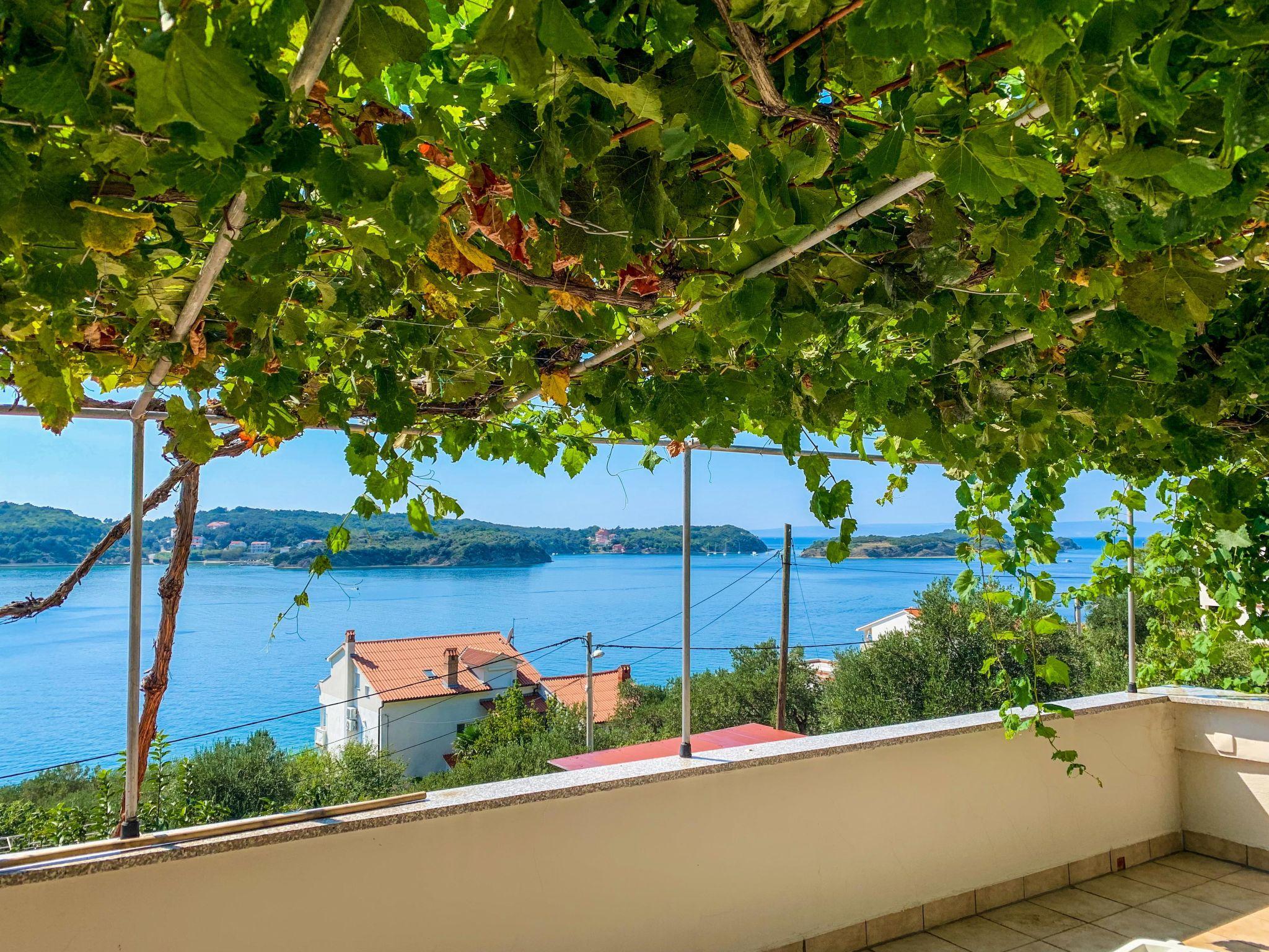 Foto 7 - Apartamento de 1 quarto em Rab com terraço e vistas do mar
