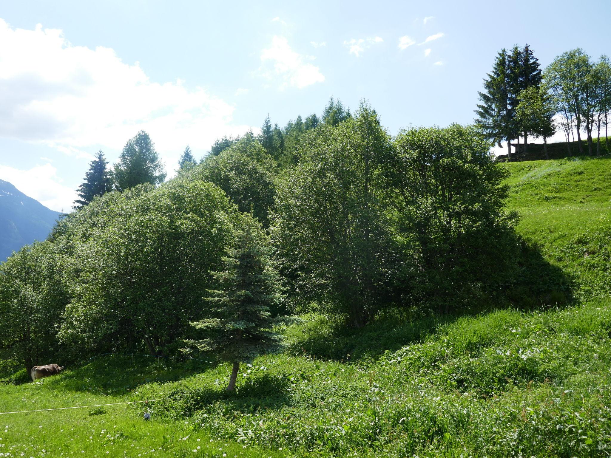 Photo 21 - House in Acquarossa with terrace and mountain view