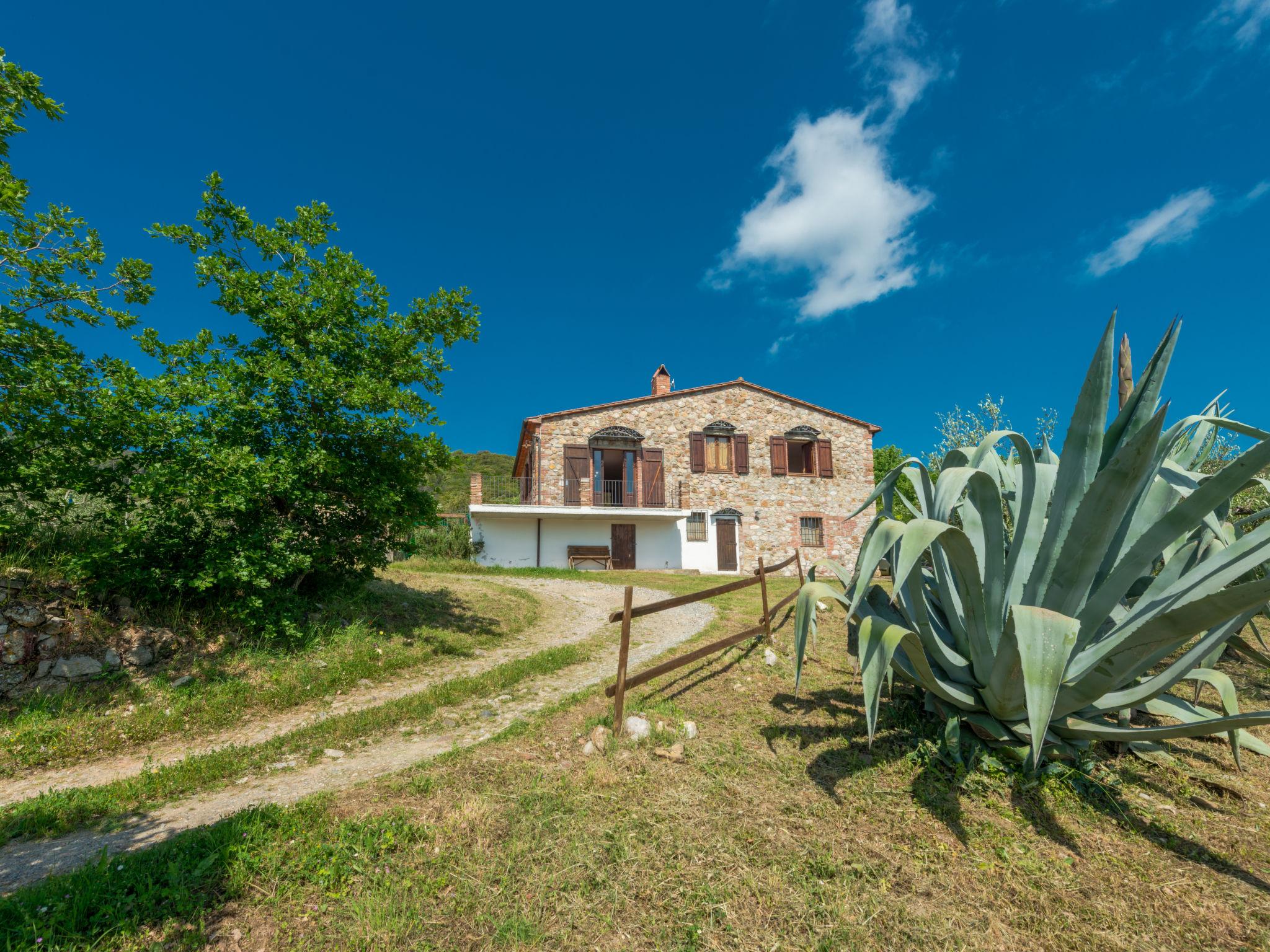 Foto 28 - Haus mit 3 Schlafzimmern in Gavorrano mit privater pool und garten