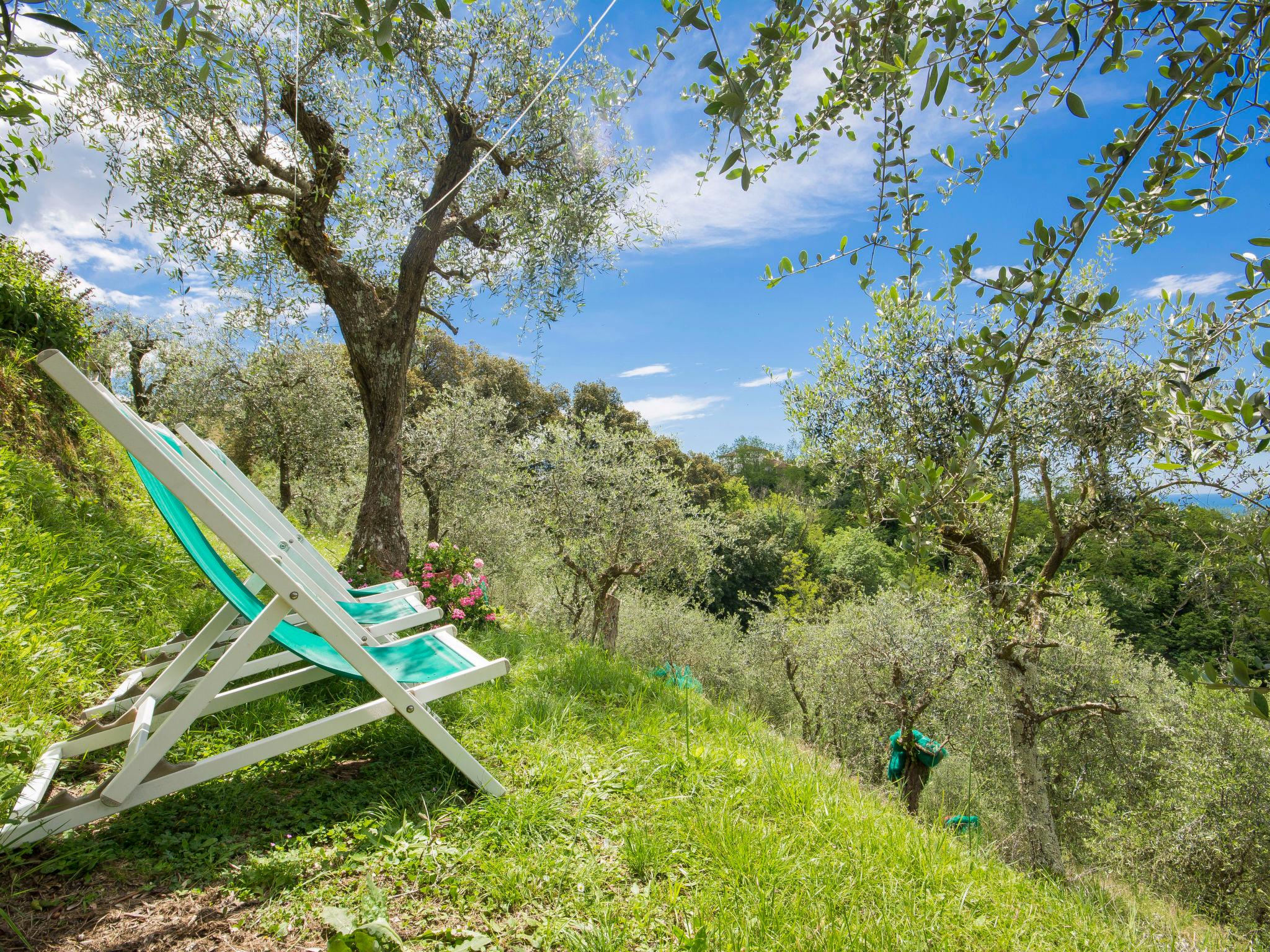 Photo 24 - 2 bedroom House in Camaiore with garden