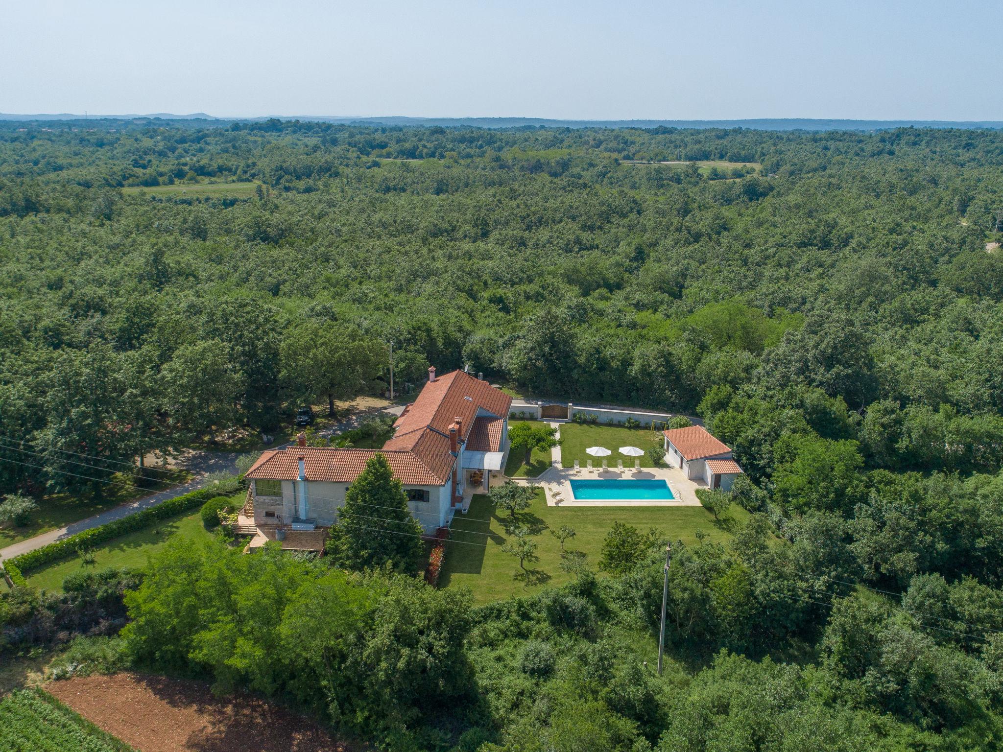 Foto 53 - Casa con 4 camere da letto a Žminj con piscina privata e vista mare