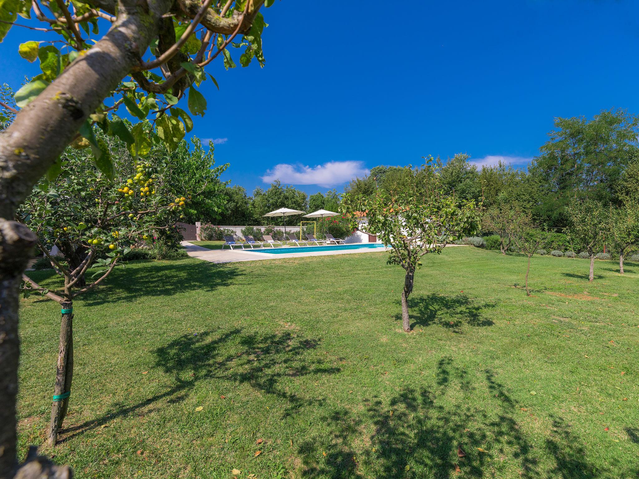 Foto 52 - Haus mit 4 Schlafzimmern in Žminj mit privater pool und blick aufs meer