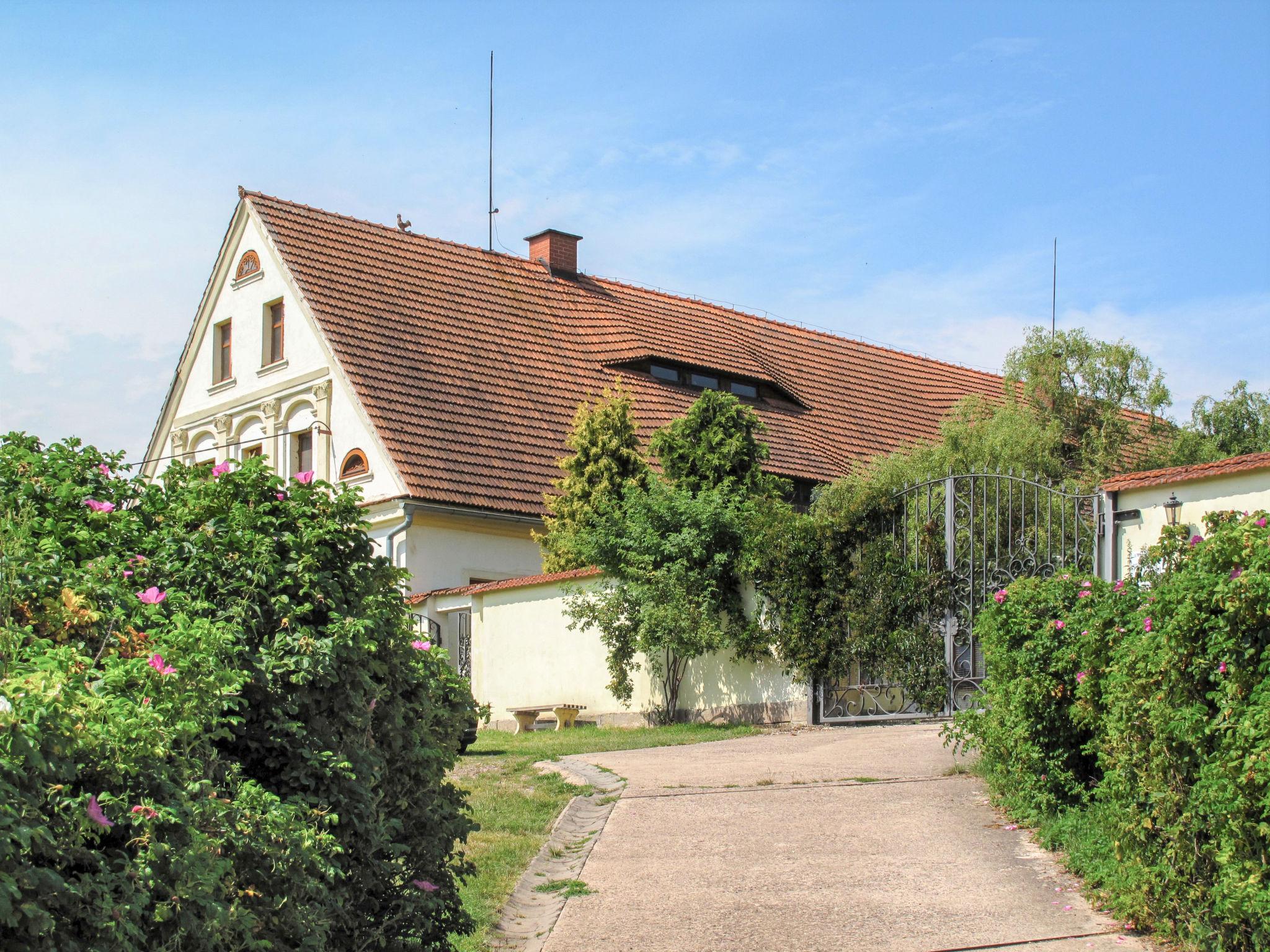 Foto 59 - Casa con 4 camere da letto a Martínkovice con piscina privata e giardino