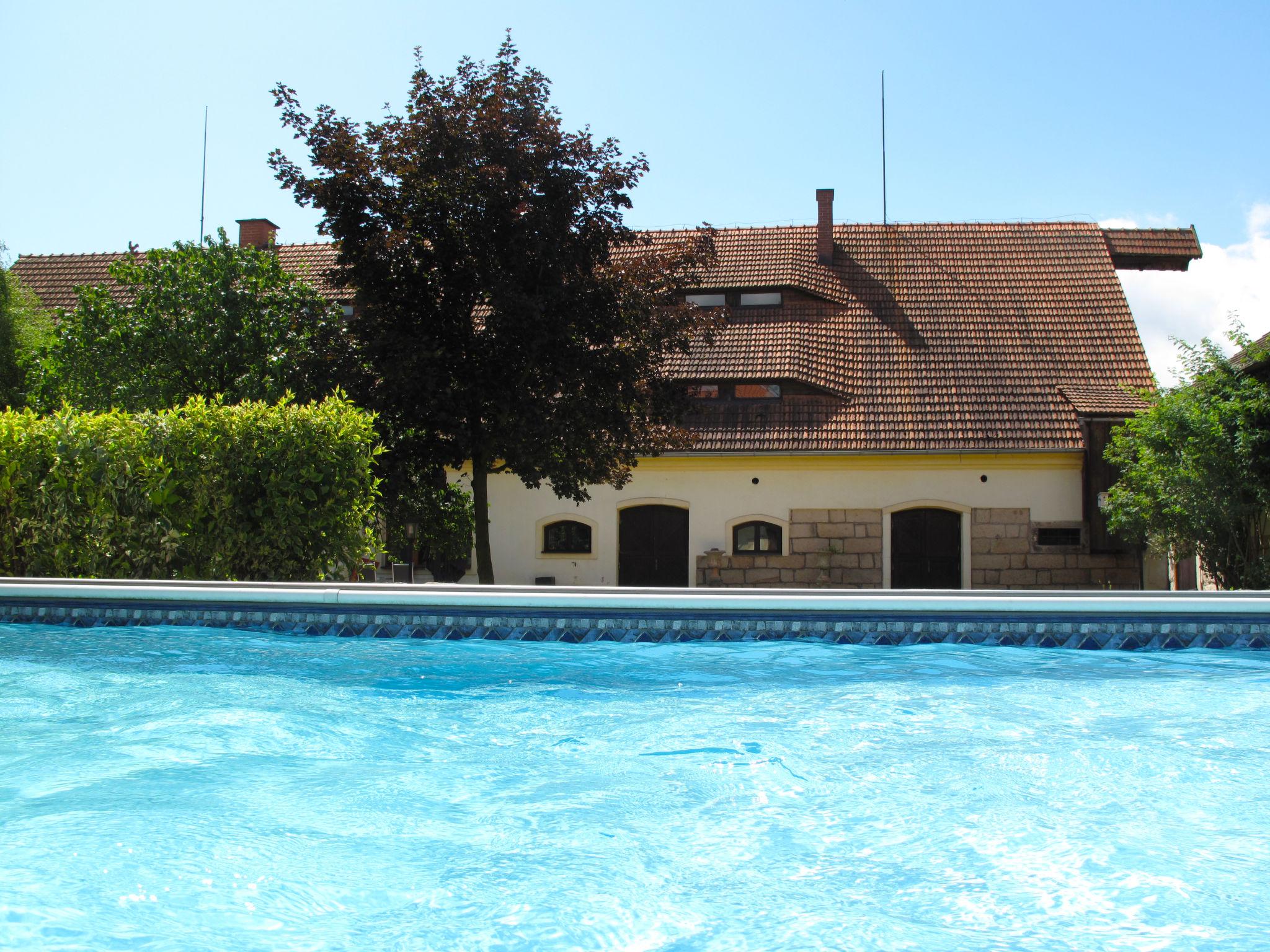 Photo 47 - Maison de 4 chambres à Martínkovice avec piscine privée et jardin