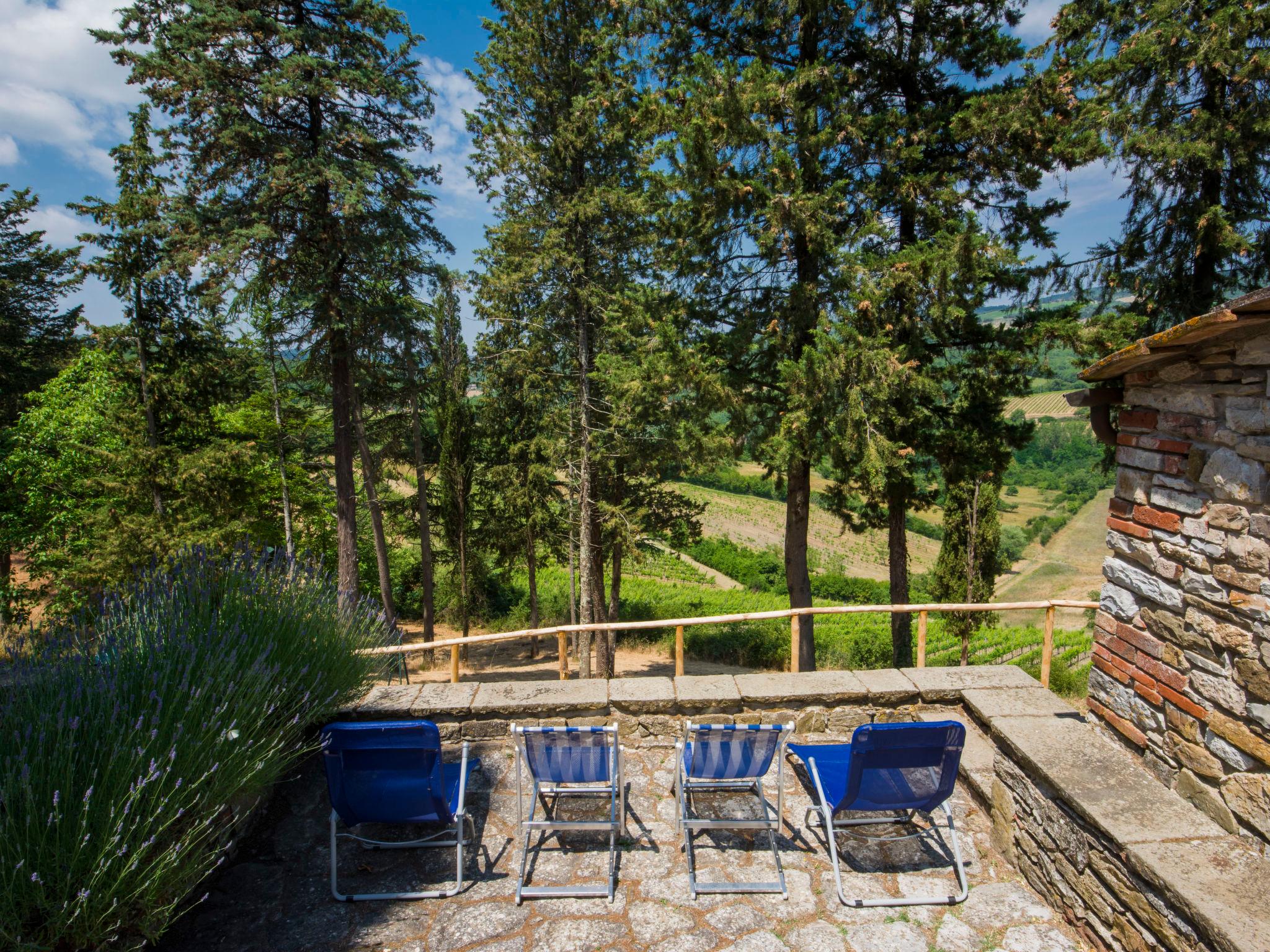 Foto 22 - Casa con 7 camere da letto a Radda in Chianti con piscina privata e giardino