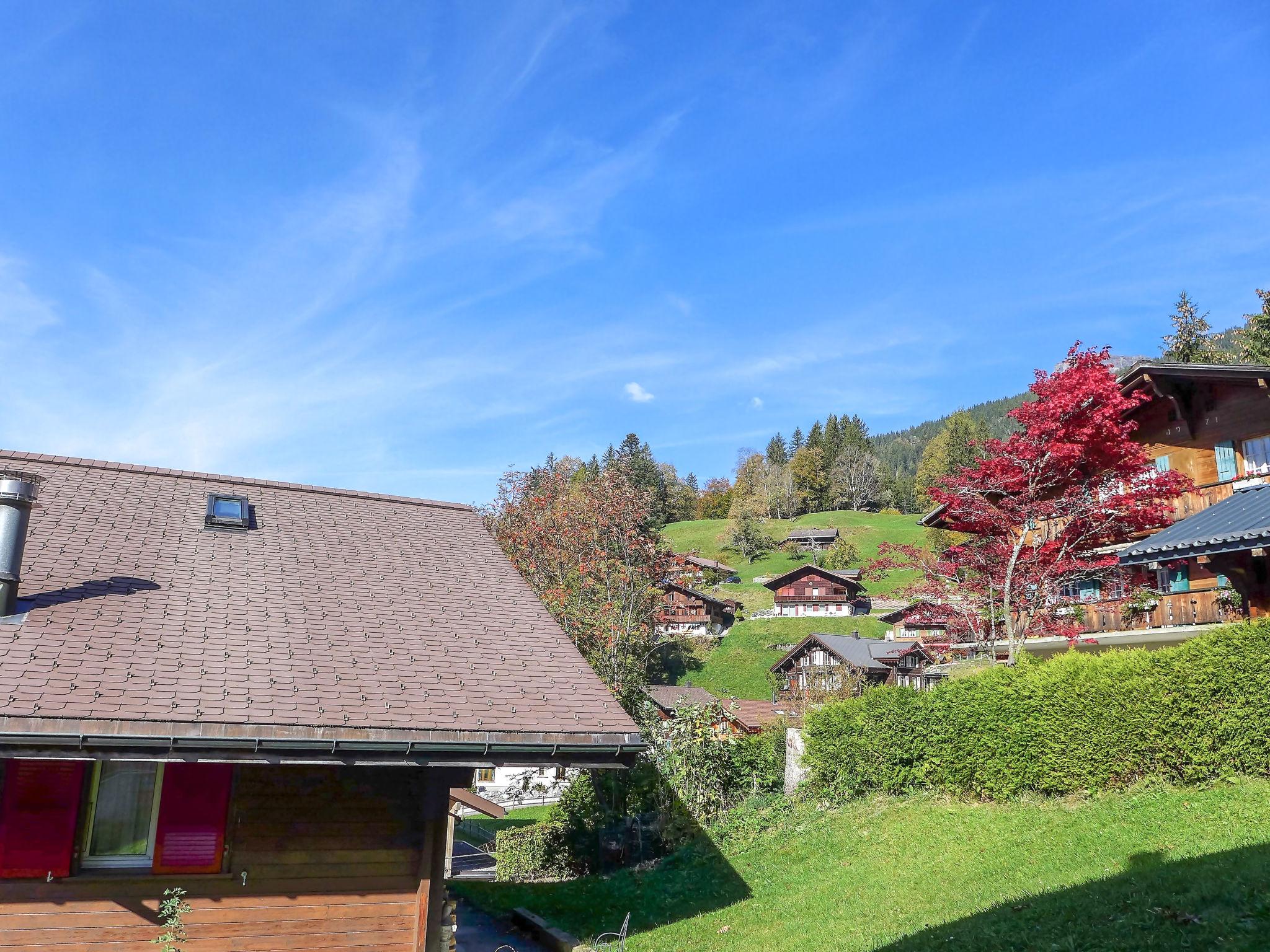 Foto 20 - Appartamento con 1 camera da letto a Grindelwald con giardino e terrazza