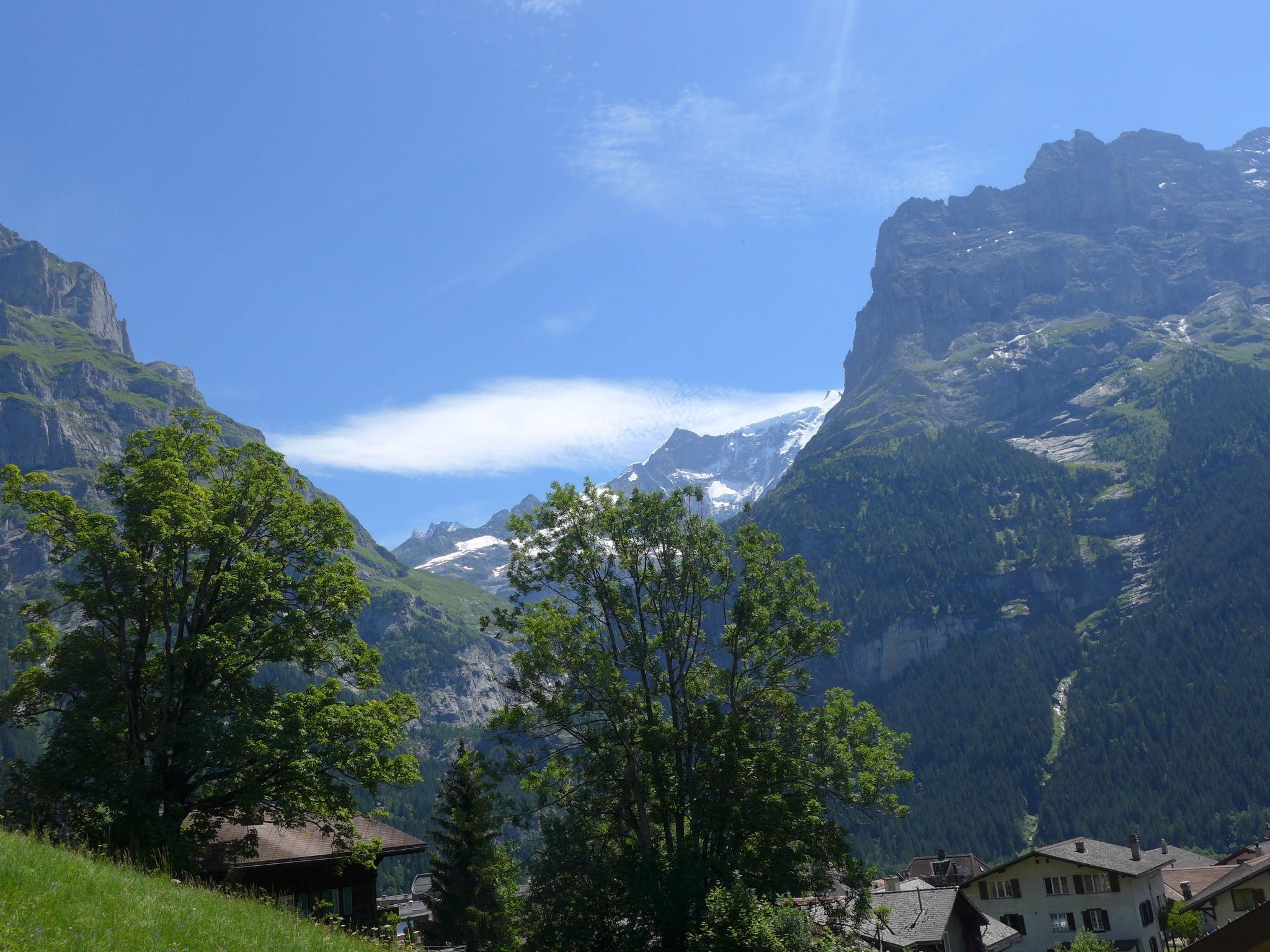 Foto 16 - Apartment mit 1 Schlafzimmer in Grindelwald mit garten und blick auf die berge