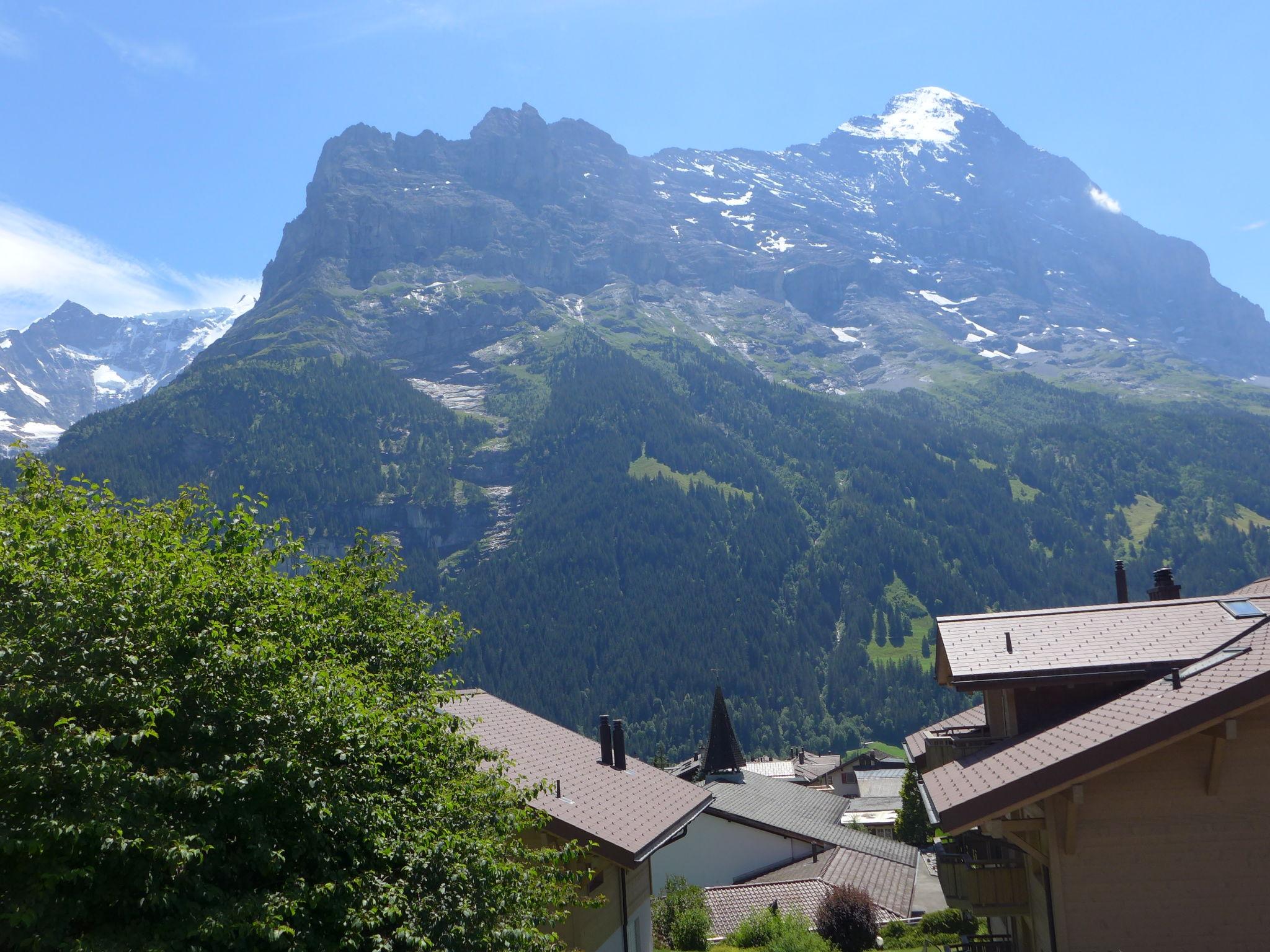 Foto 14 - Apartment mit 1 Schlafzimmer in Grindelwald mit garten und blick auf die berge