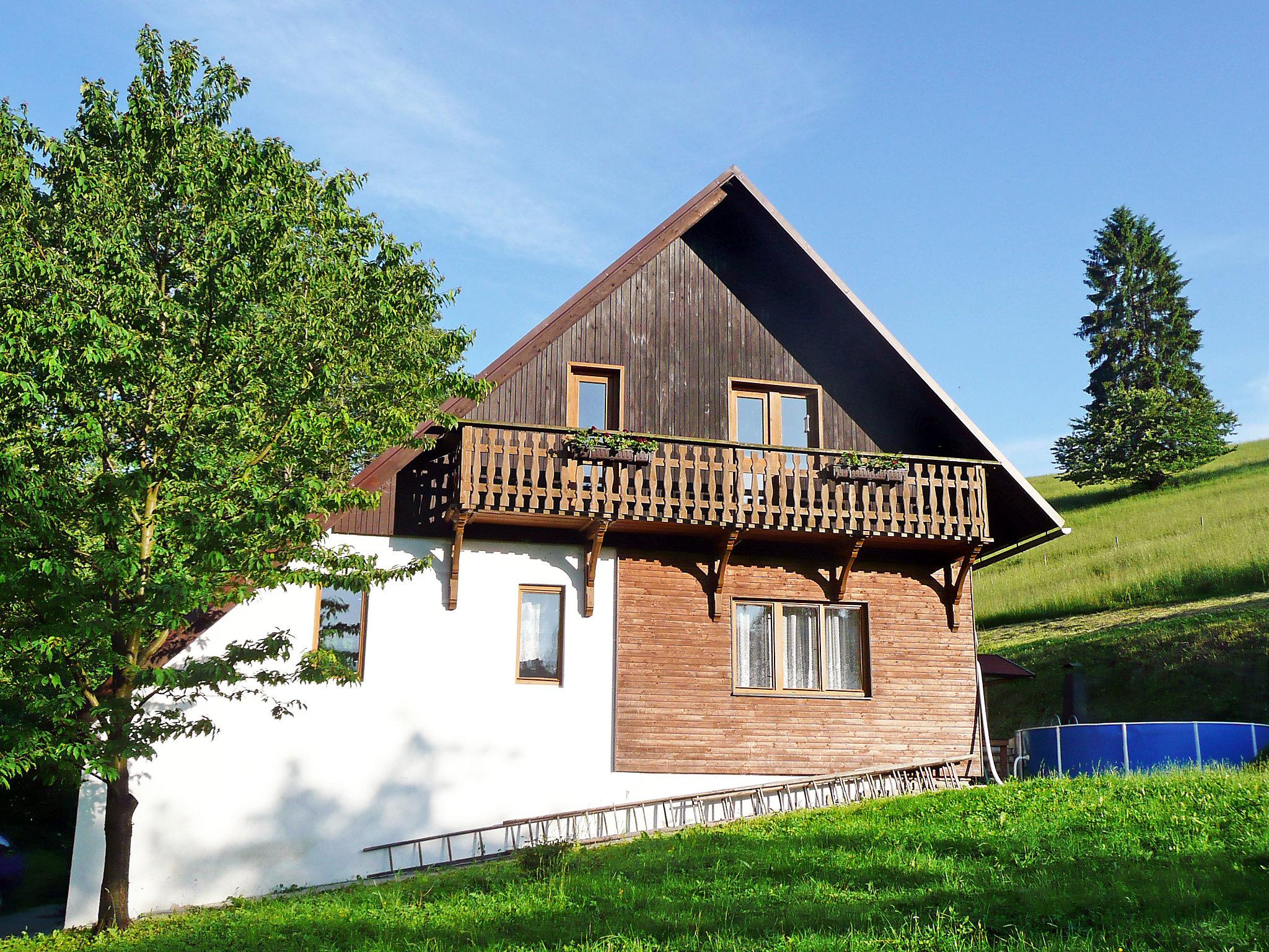 Foto 1 - Apartamento de 2 habitaciones en Janová con piscina privada y jardín