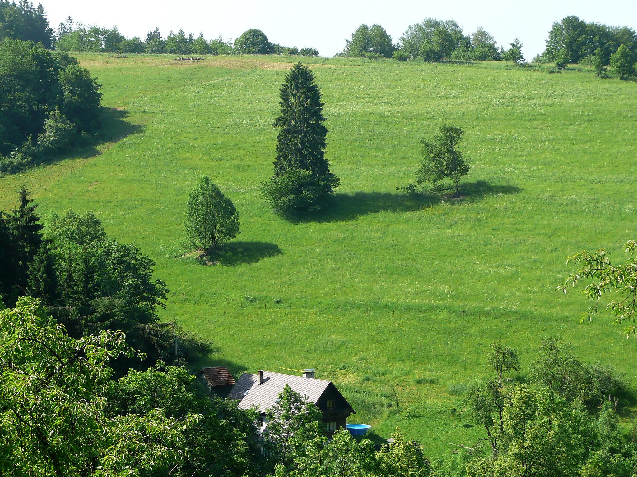 Photo 18 - 2 bedroom Apartment in Janová with private pool and garden