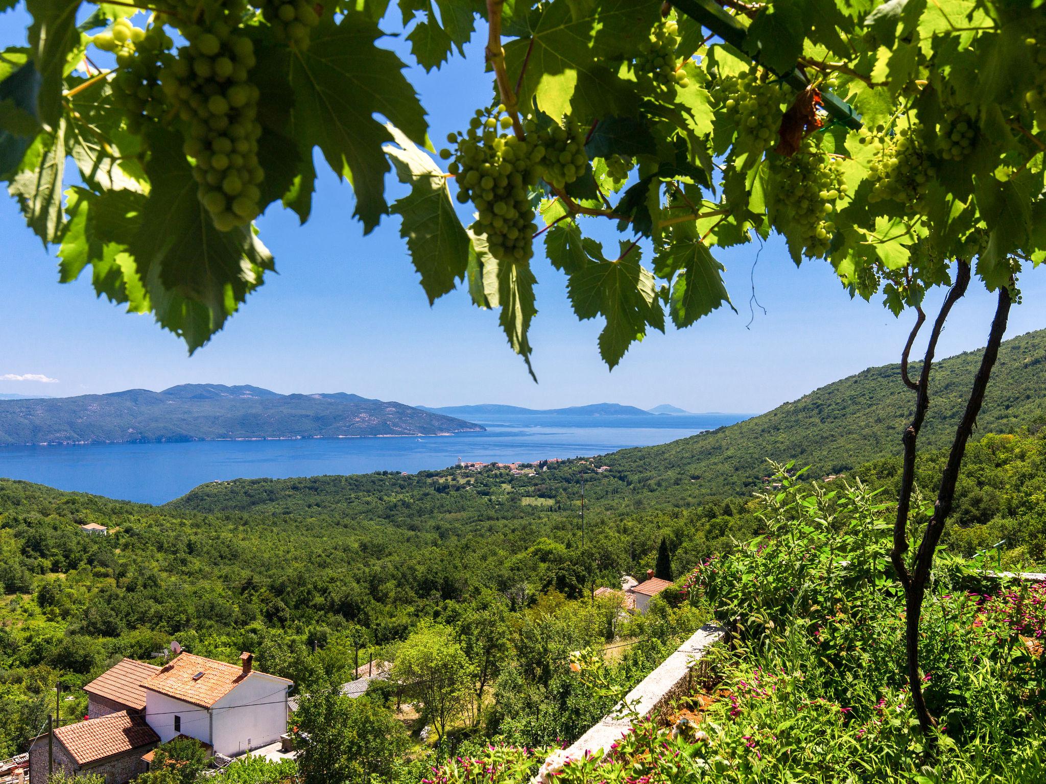 Foto 3 - Apartamento de 2 quartos em Mošćenička Draga com piscina privada e vistas do mar