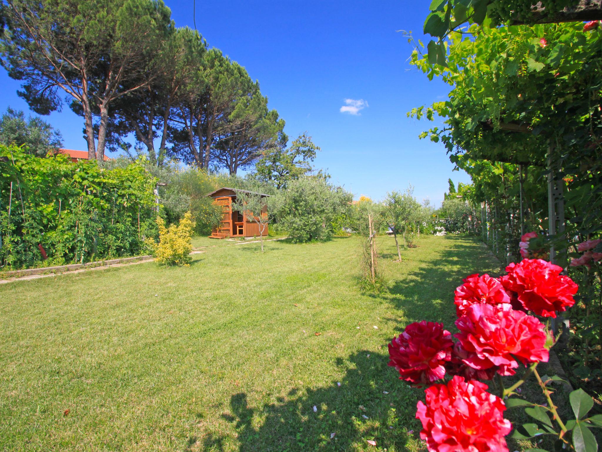 Foto 44 - Casa con 6 camere da letto a Montelupo Fiorentino con piscina privata e giardino