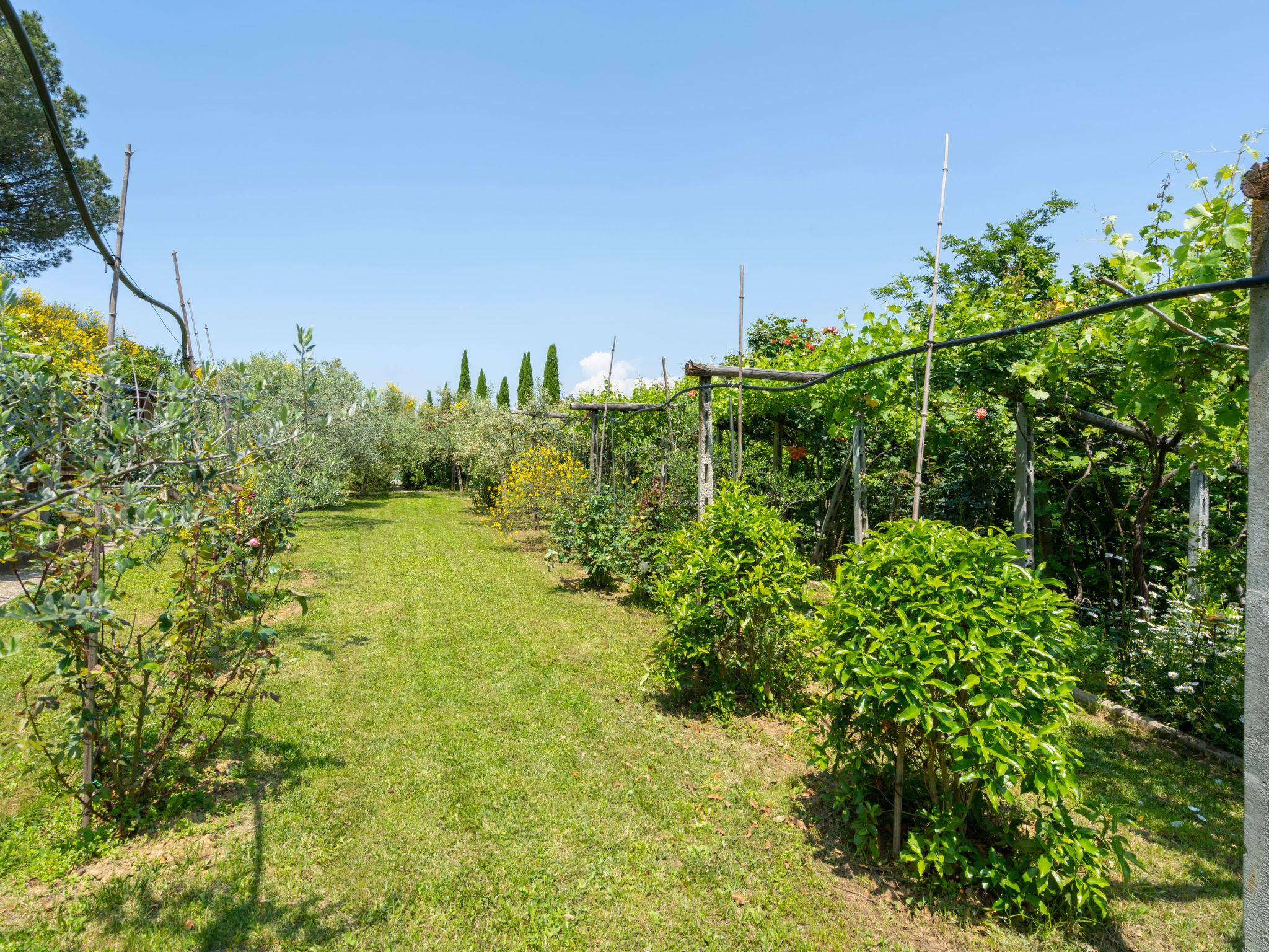 Foto 58 - Casa de 8 quartos em Montelupo Fiorentino com piscina privada e terraço