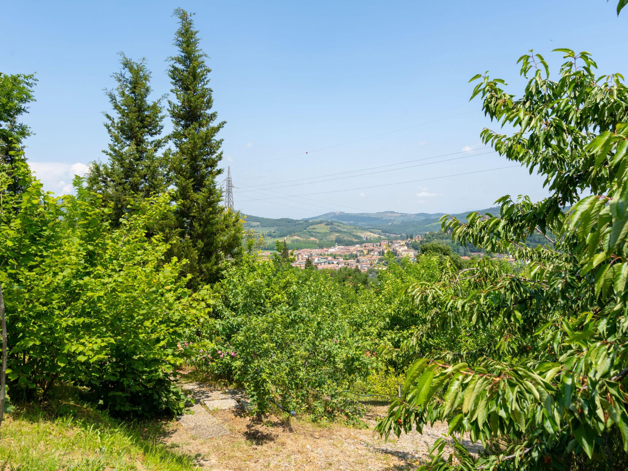 Foto 59 - Casa con 8 camere da letto a Montelupo Fiorentino con piscina privata e terrazza