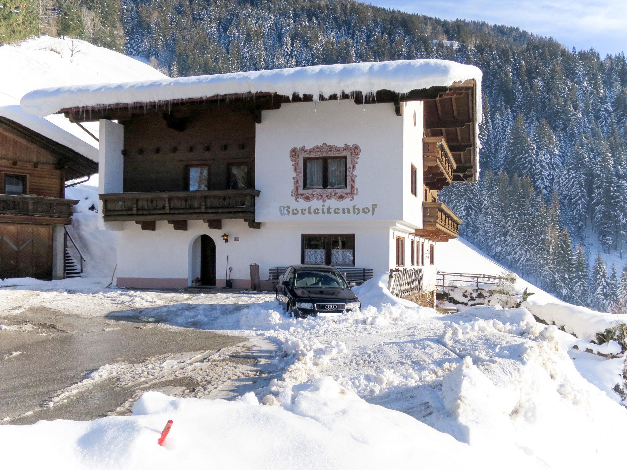 Foto 26 - Casa de 8 habitaciones en Ramsau im Zillertal con jardín y vistas a la montaña