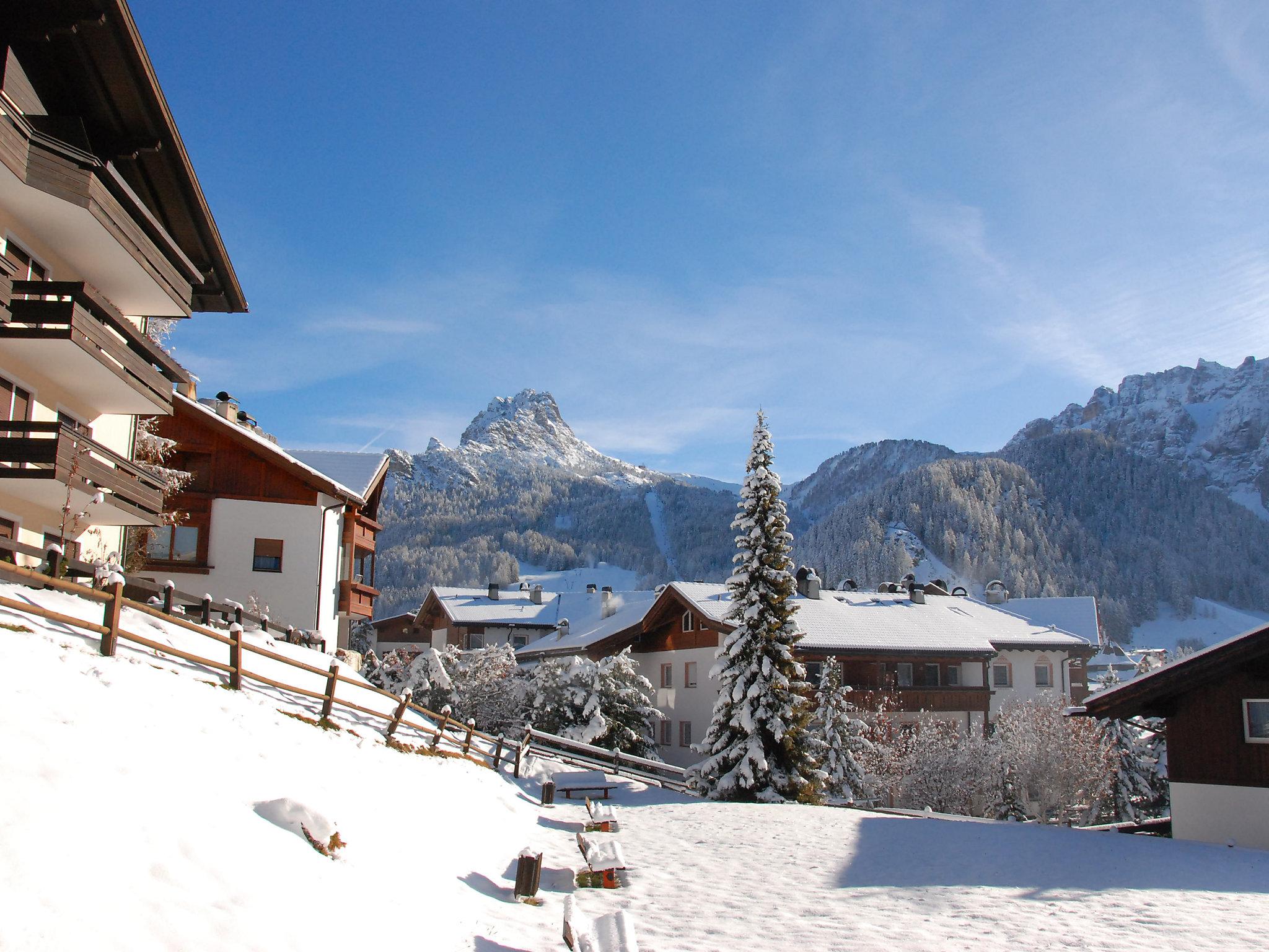 Photo 28 - 1 bedroom Apartment in Selva di Val Gardena with terrace and mountain view