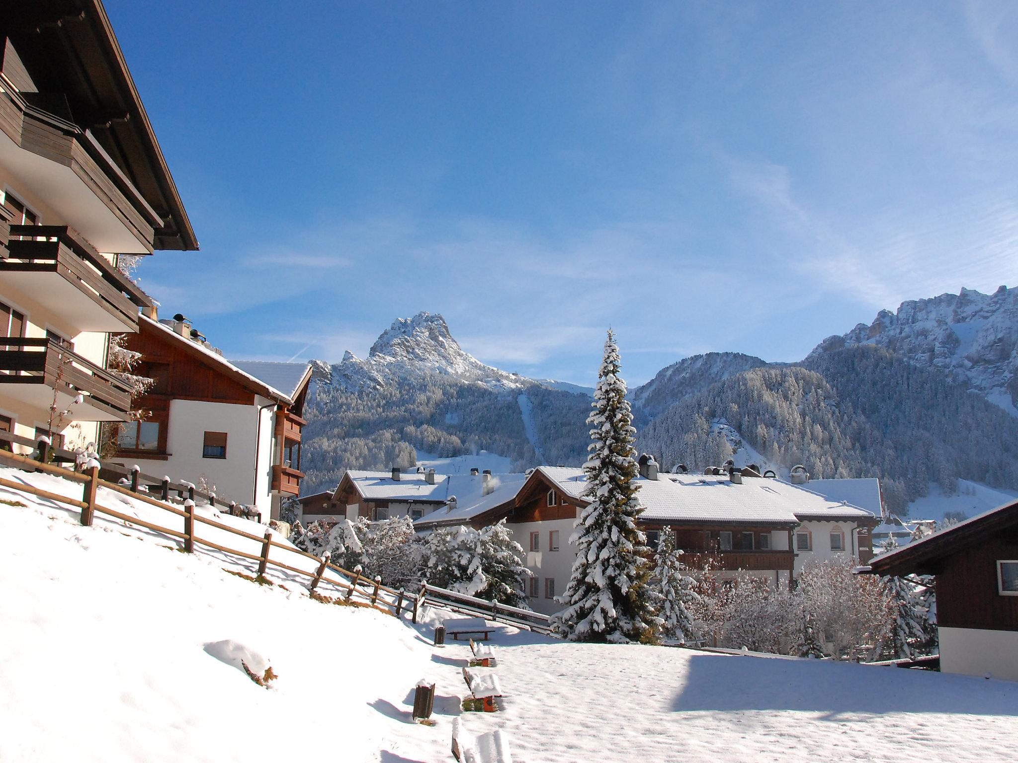 Foto 28 - Apartamento de 1 quarto em Selva di Val Gardena com jardim e terraço