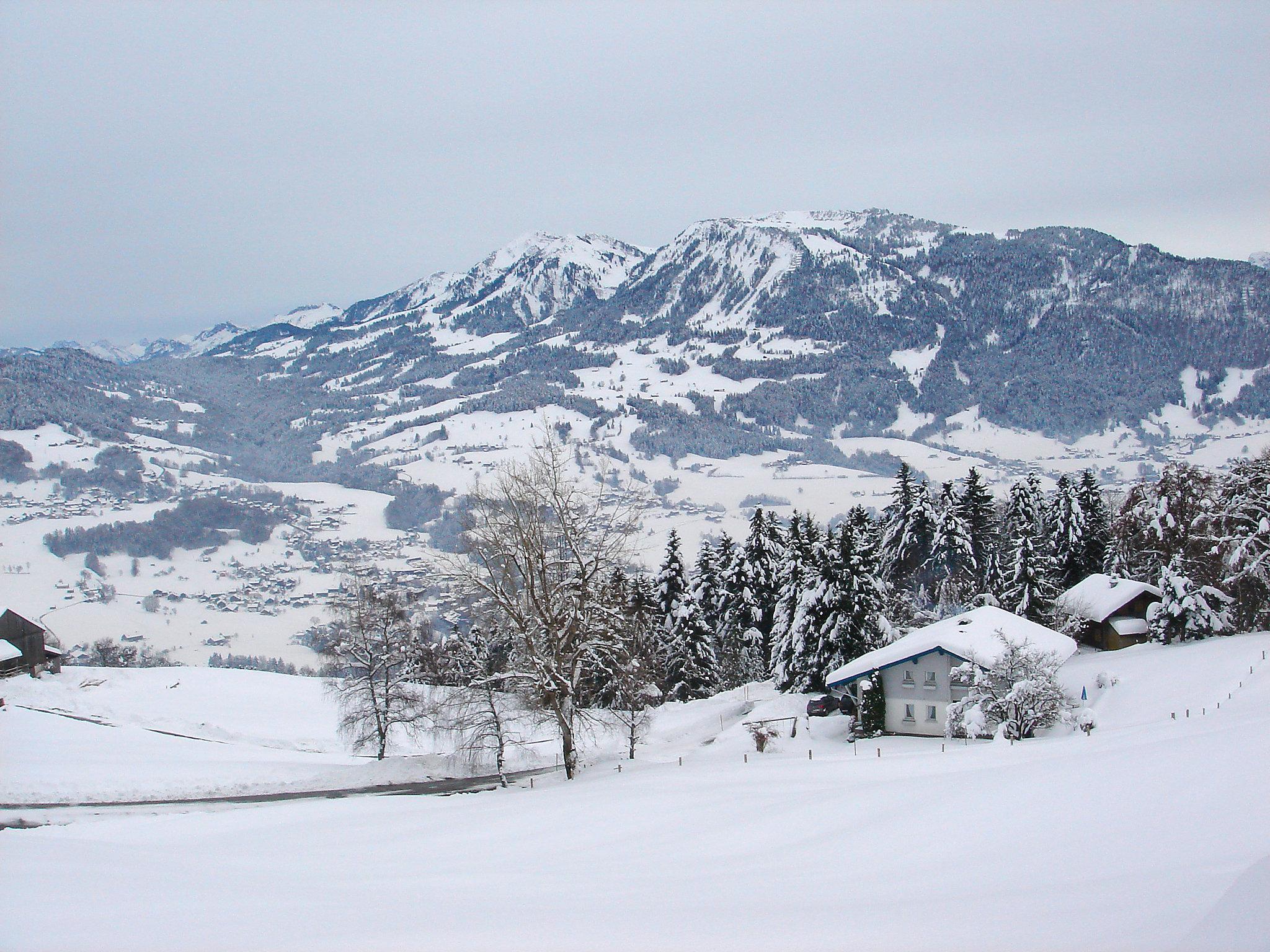 Foto 43 - Haus mit 4 Schlafzimmern in Egg mit garten und blick auf die berge