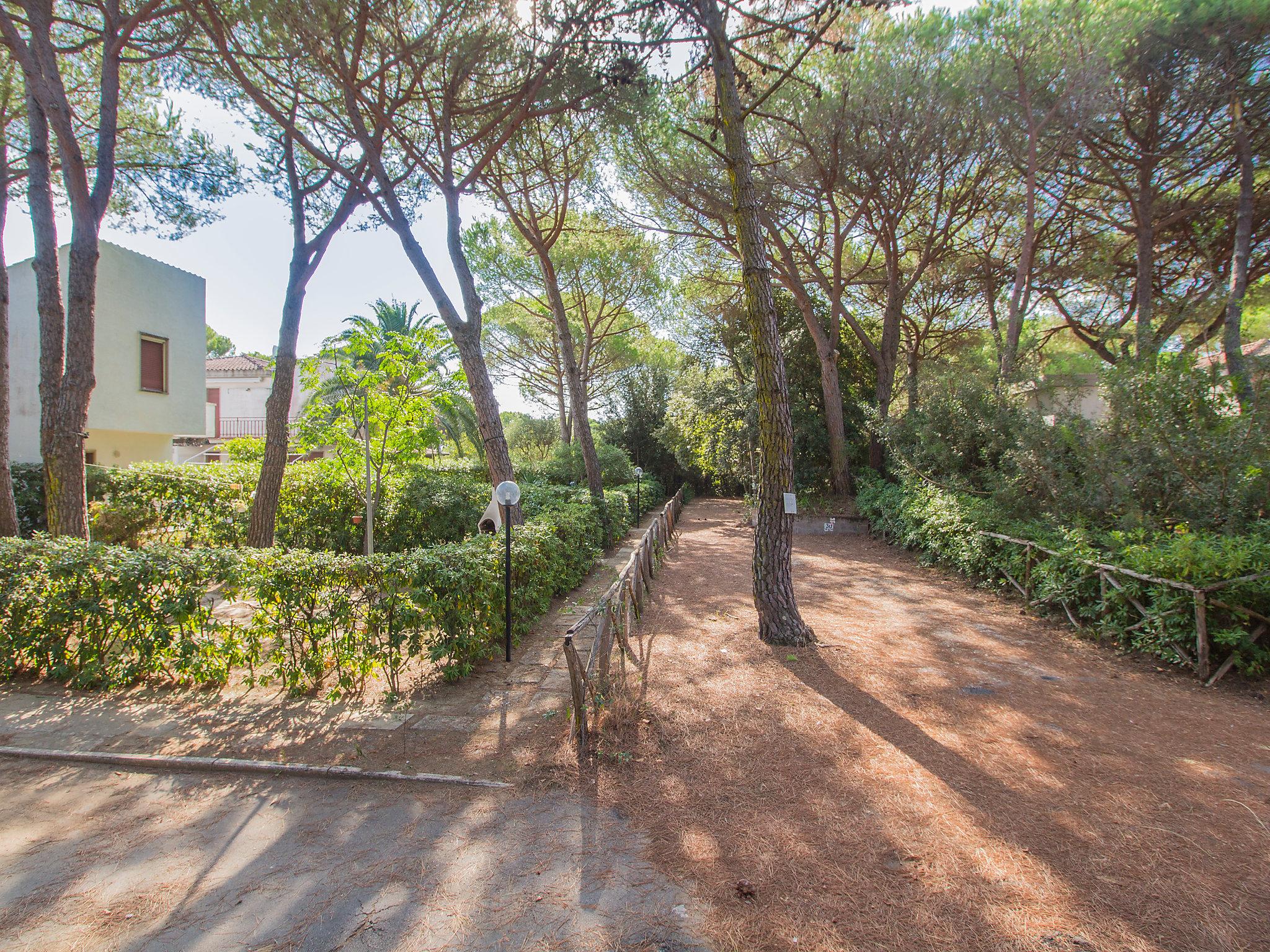 Photo 26 - Maison de 2 chambres à Grosseto avec jardin et terrasse