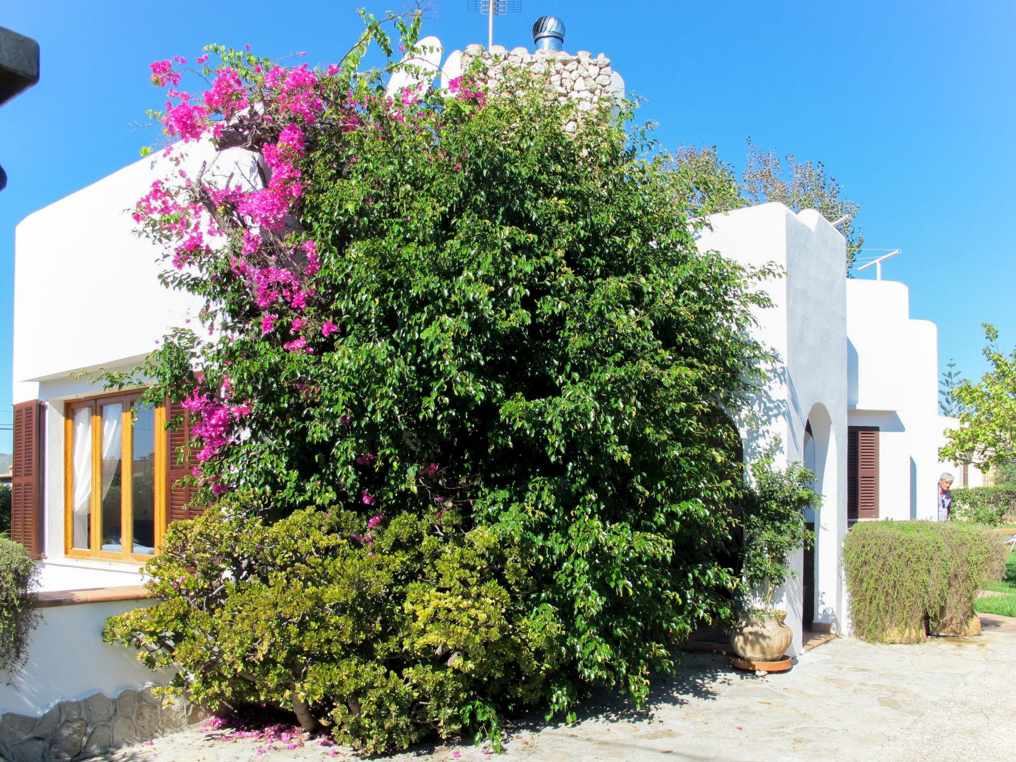 Foto 26 - Casa con 3 camere da letto a Manacor con piscina privata e vista mare