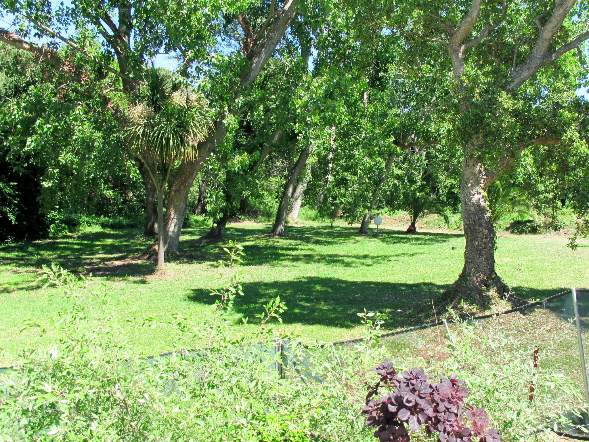 Foto 17 - Appartamento con 2 camere da letto a Valle-di-Campoloro con piscina e vista mare