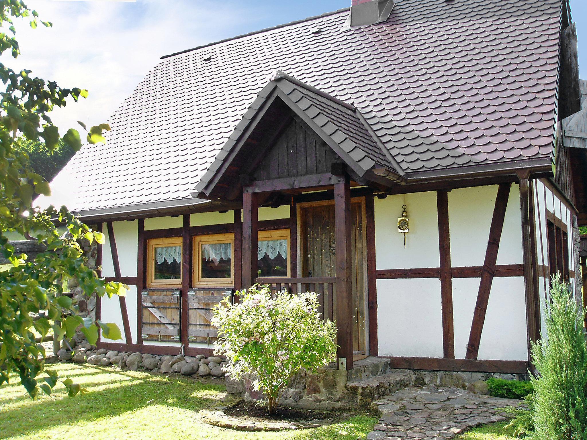 Photo 6 - Maison de 1 chambre à Kartuzy avec jardin et sauna