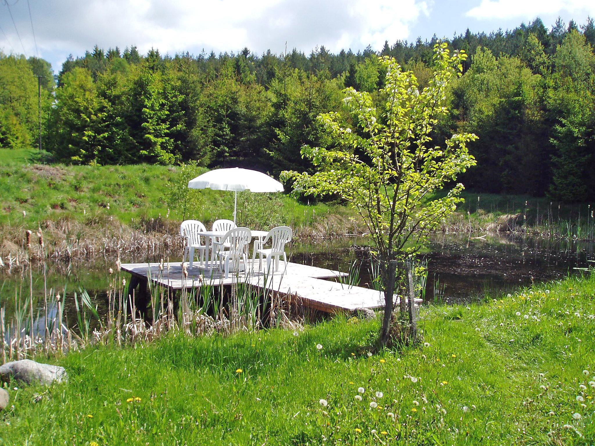 Photo 10 - Maison de 1 chambre à Kartuzy avec jardin et sauna