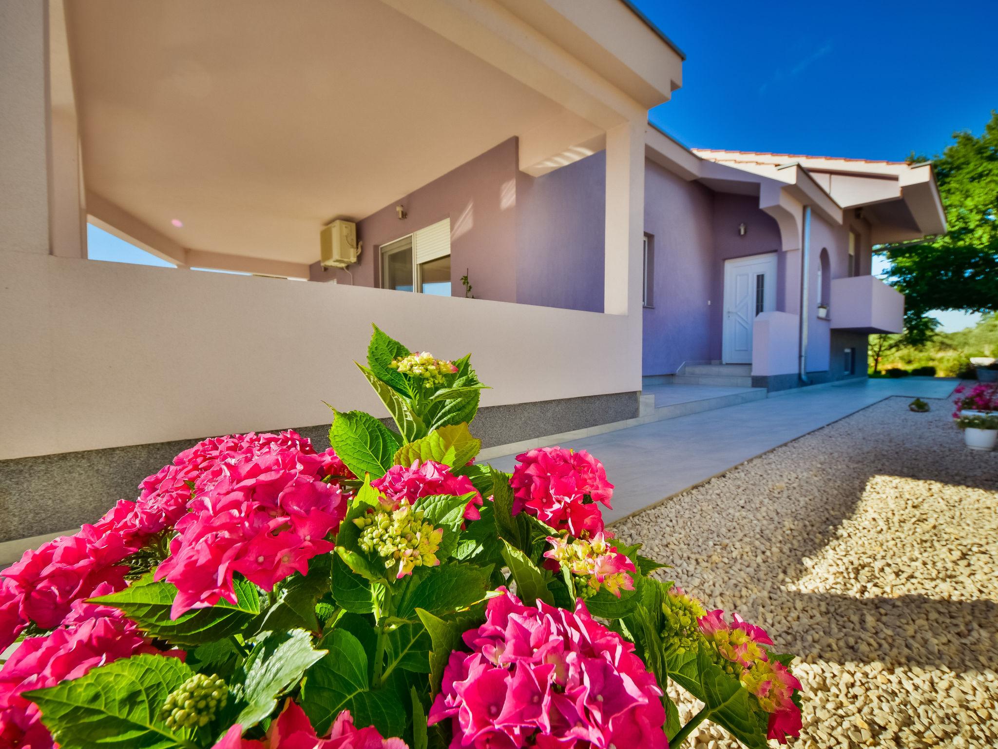 Photo 32 - Maison de 3 chambres à Benkovac avec piscine privée et vues à la mer