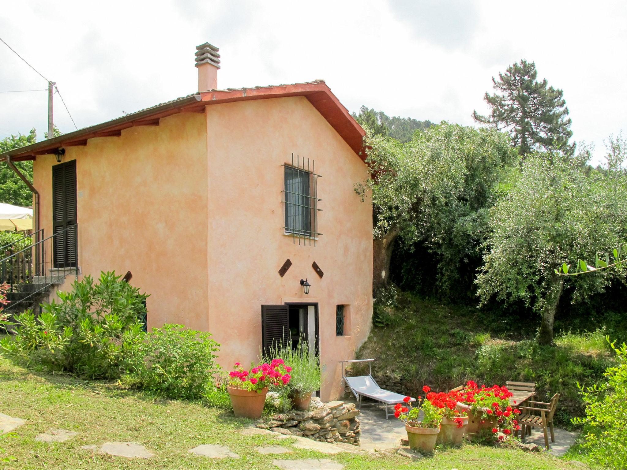 Foto 14 - Haus mit 1 Schlafzimmer in Massa mit garten und blick aufs meer