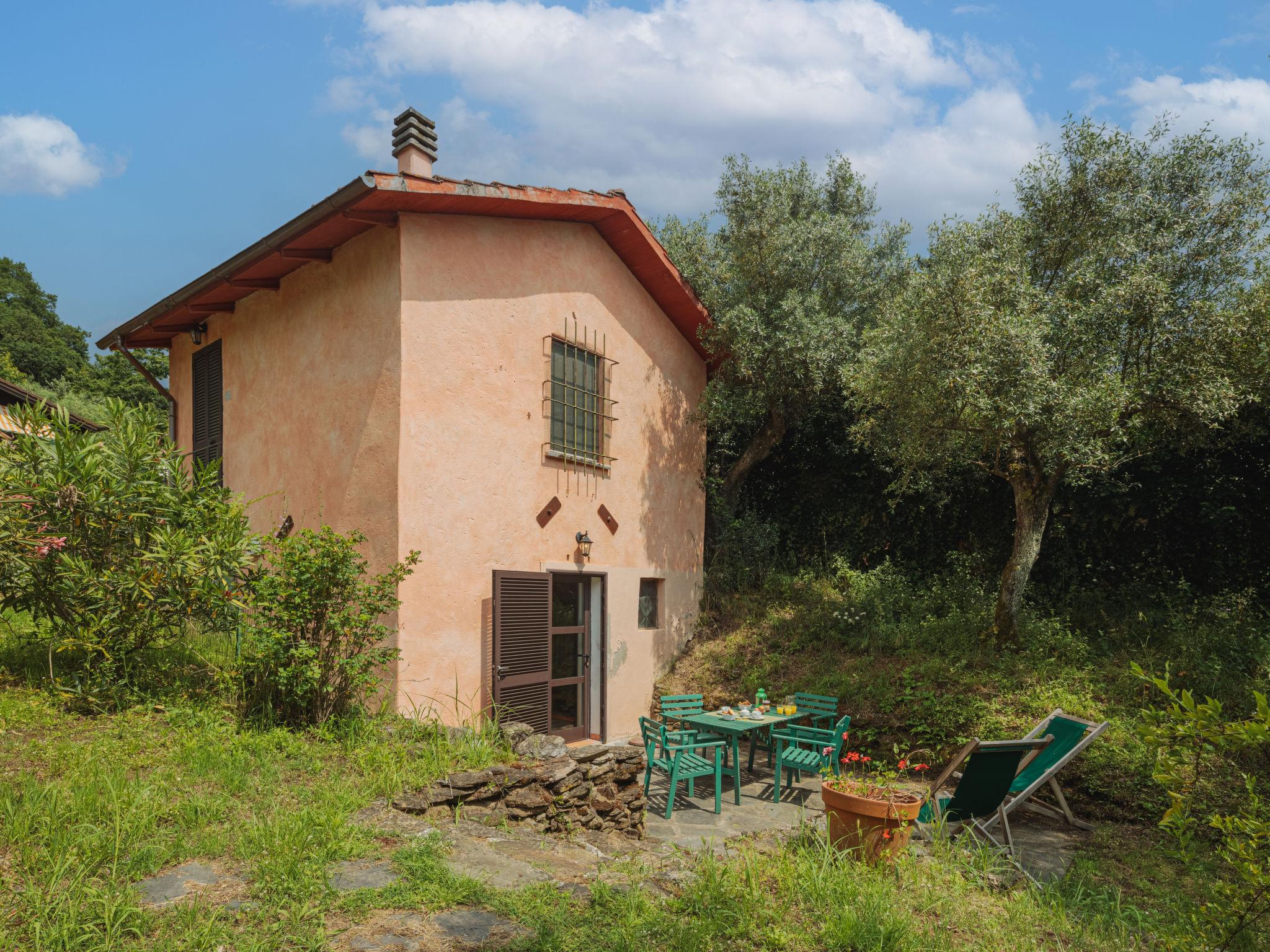 Photo 2 - Maison de 1 chambre à Massa avec jardin et terrasse