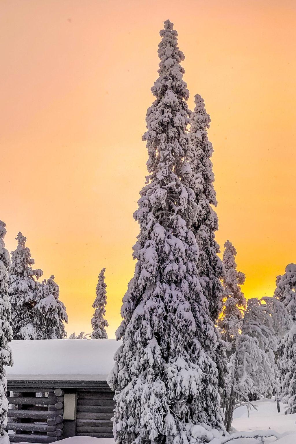 Photo 23 - Maison de 4 chambres à Kuusamo avec sauna et vues sur la montagne