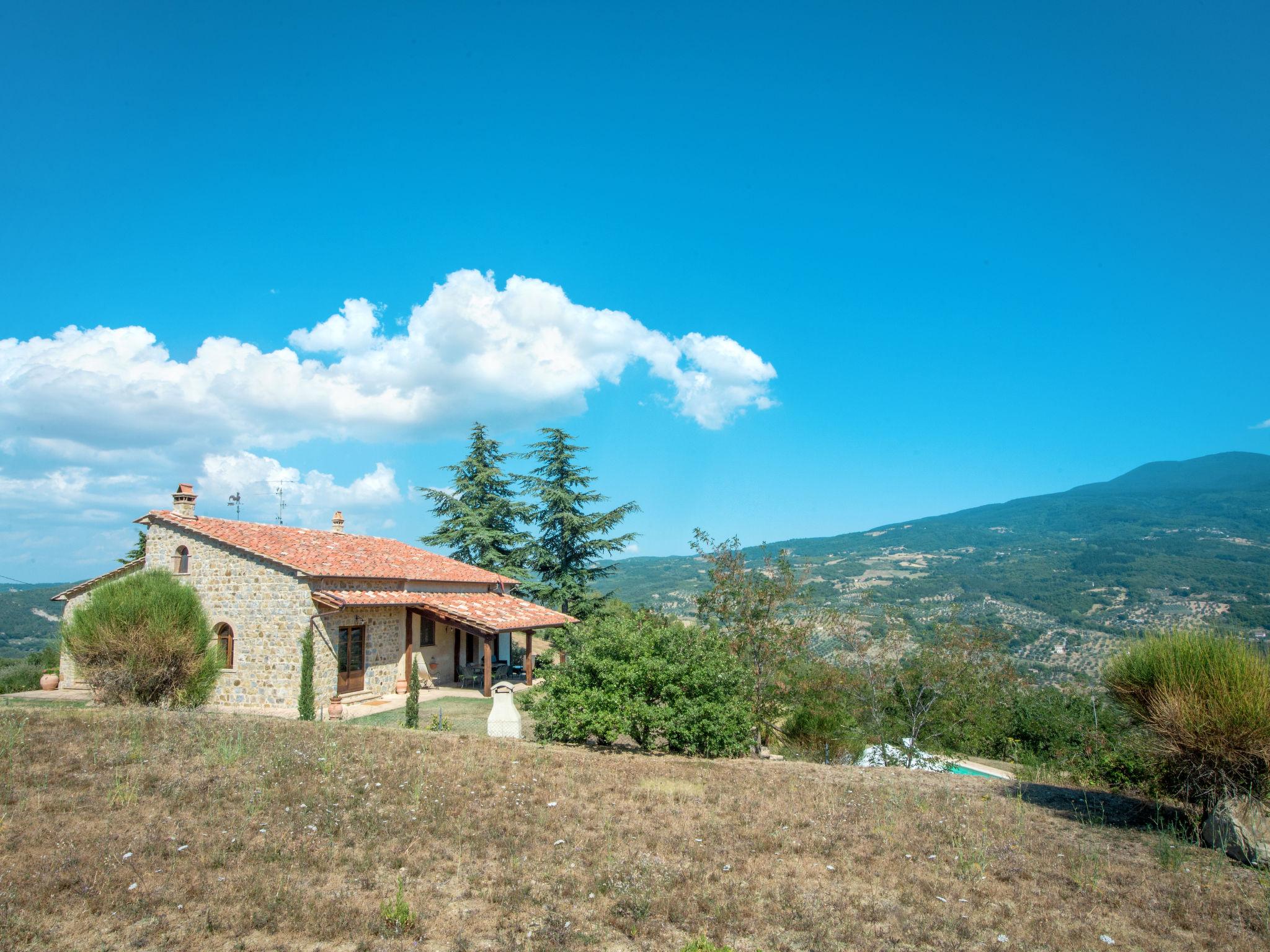 Foto 25 - Casa de 3 quartos em Seggiano com piscina privada e jardim