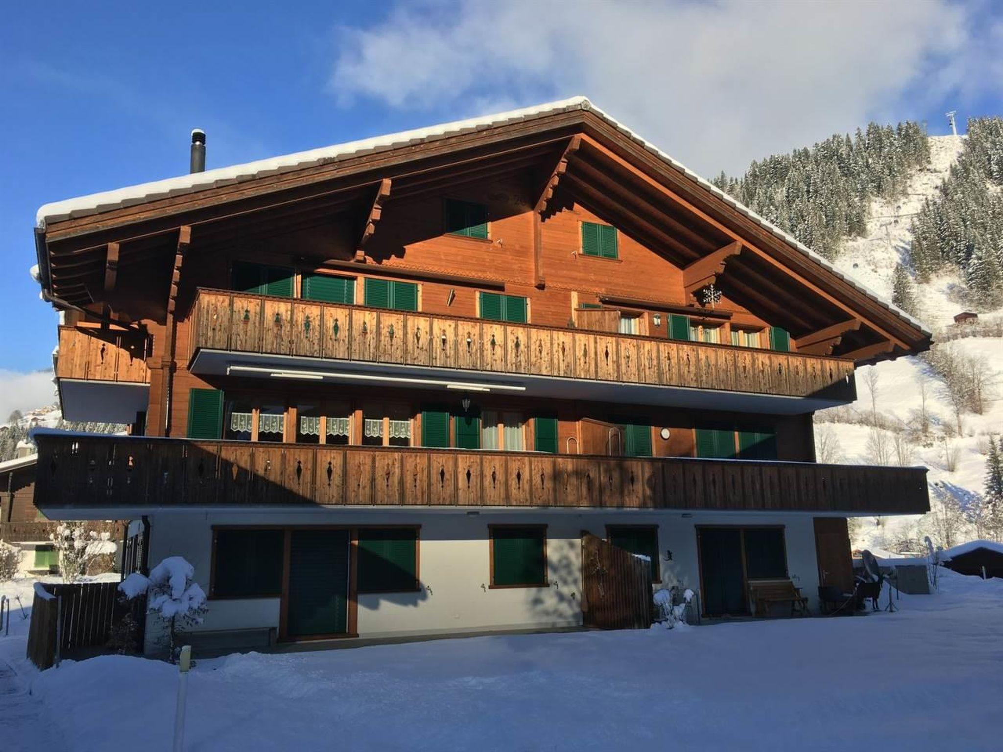 Photo 1 - 2 bedroom Apartment in Lenk