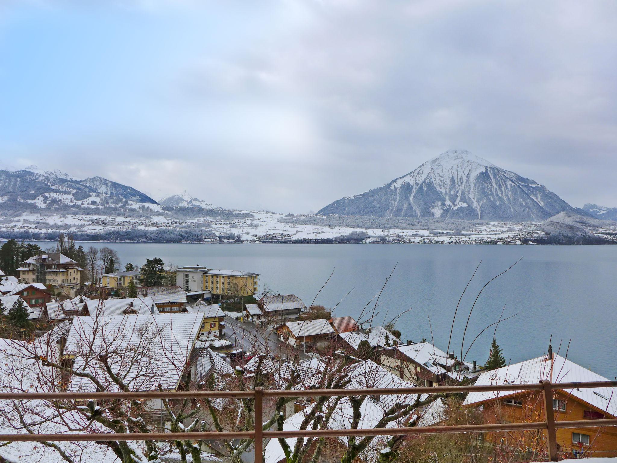 Photo 31 - Maison de 4 chambres à Sigriswil avec jardin et vues sur la montagne