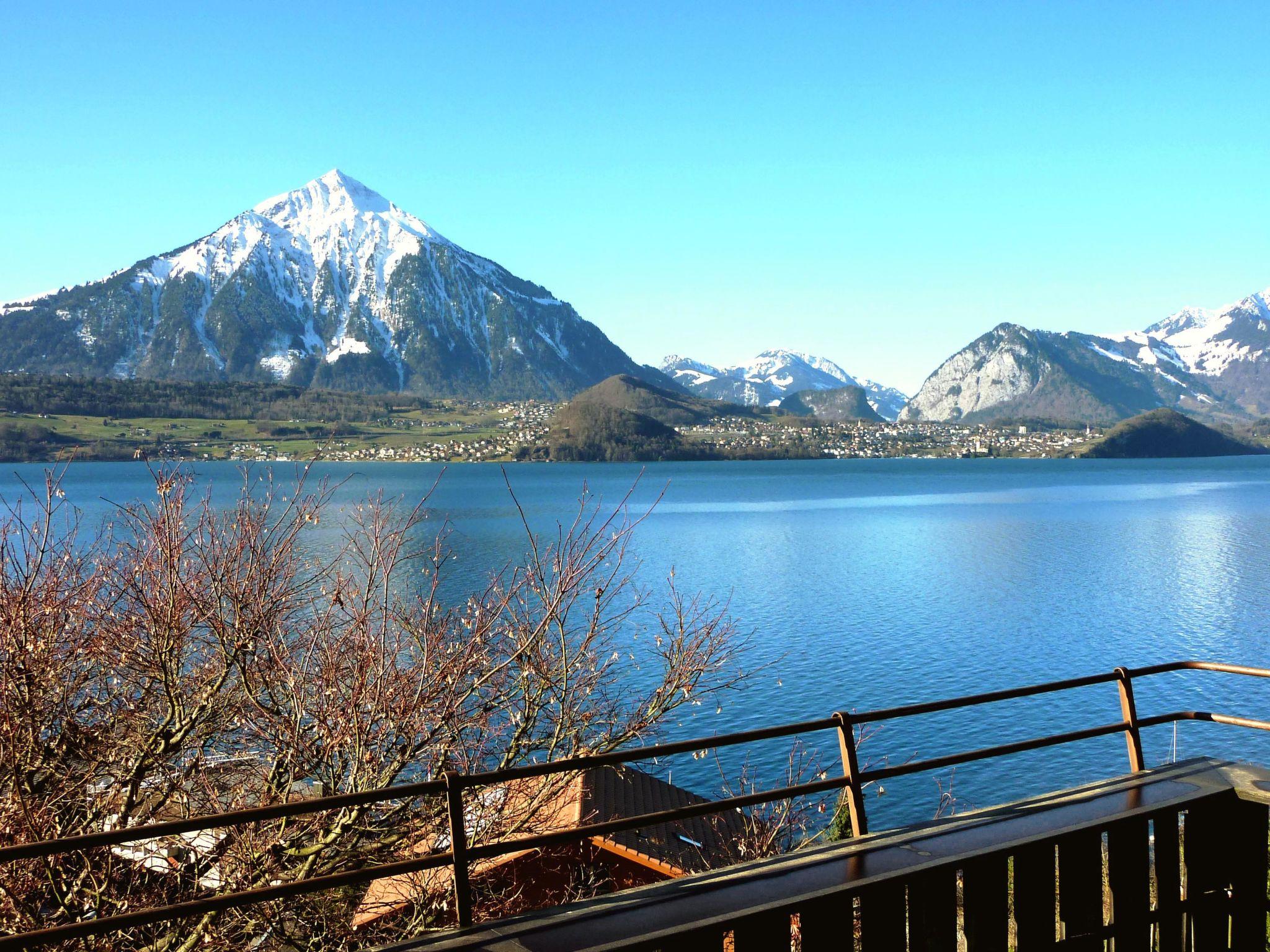 Foto 5 - Casa con 4 camere da letto a Sigriswil con giardino e vista sulle montagne