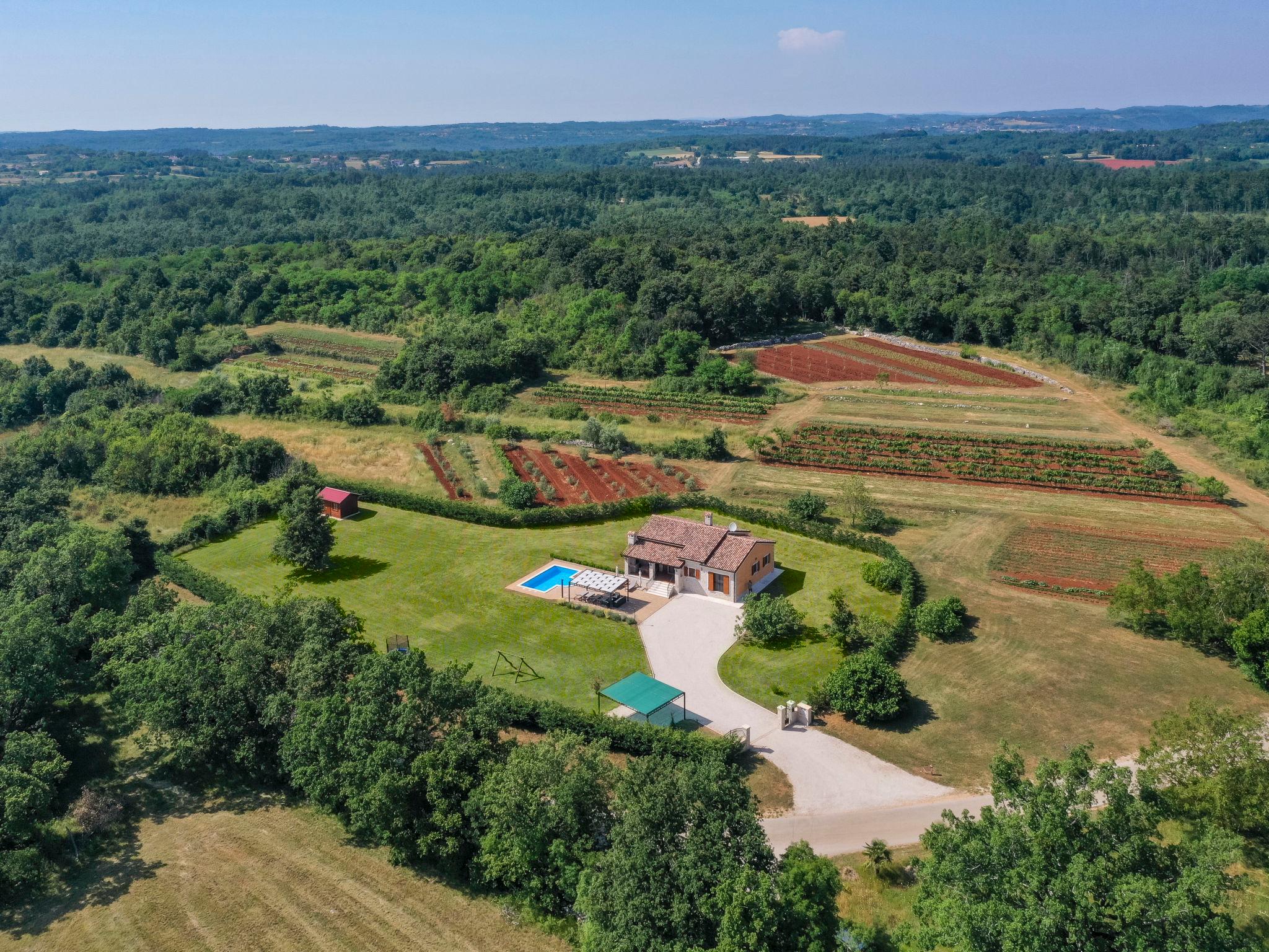 Foto 9 - Casa de 3 quartos em Pazin com piscina privada e jardim