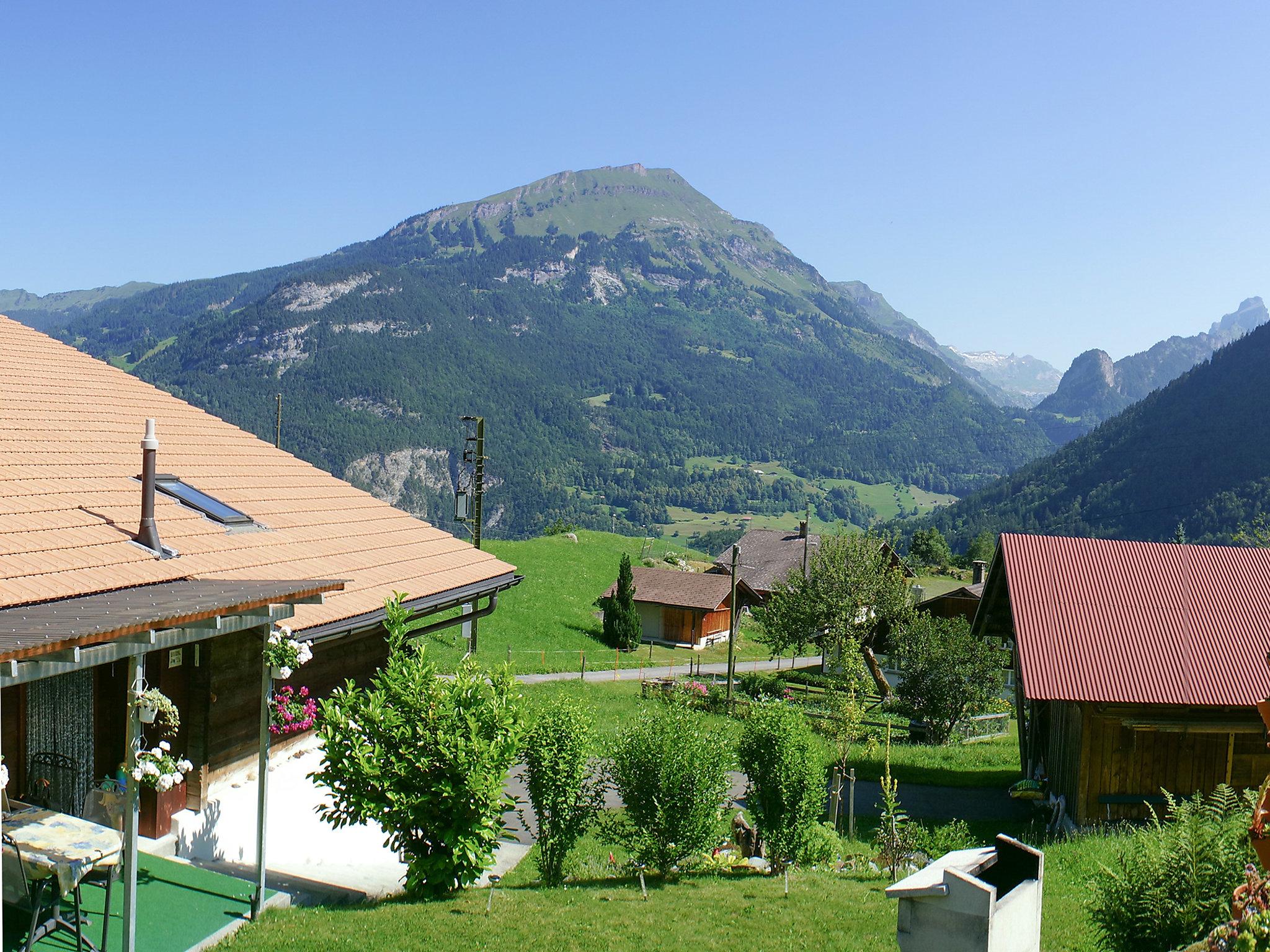 Foto 6 - Casa con 2 camere da letto a Innertkirchen con giardino e vista sulle montagne