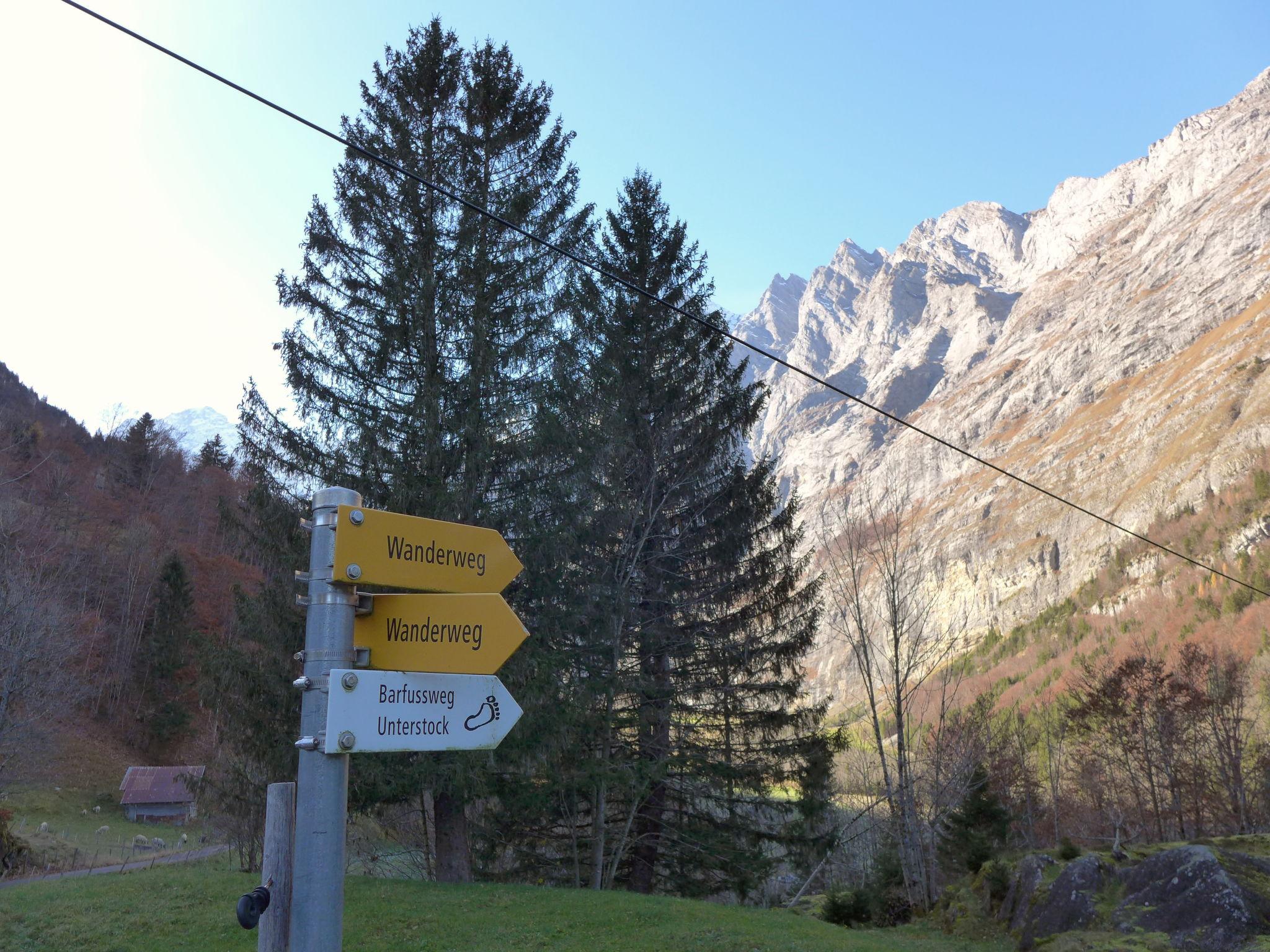 Photo 26 - Maison de 2 chambres à Innertkirchen avec jardin et vues sur la montagne