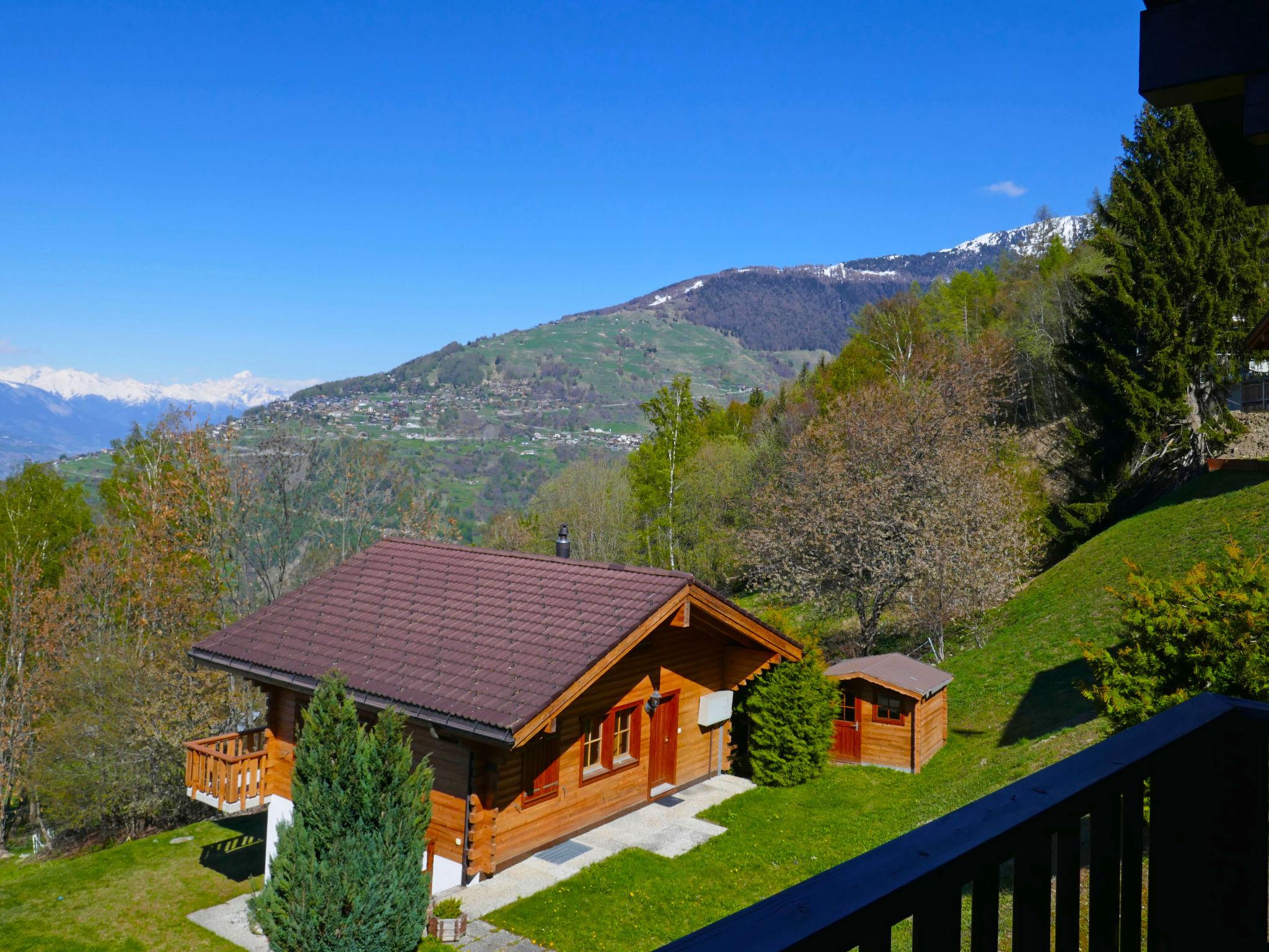 Foto 26 - Casa de 3 habitaciones en Nendaz con jardín y vistas a la montaña