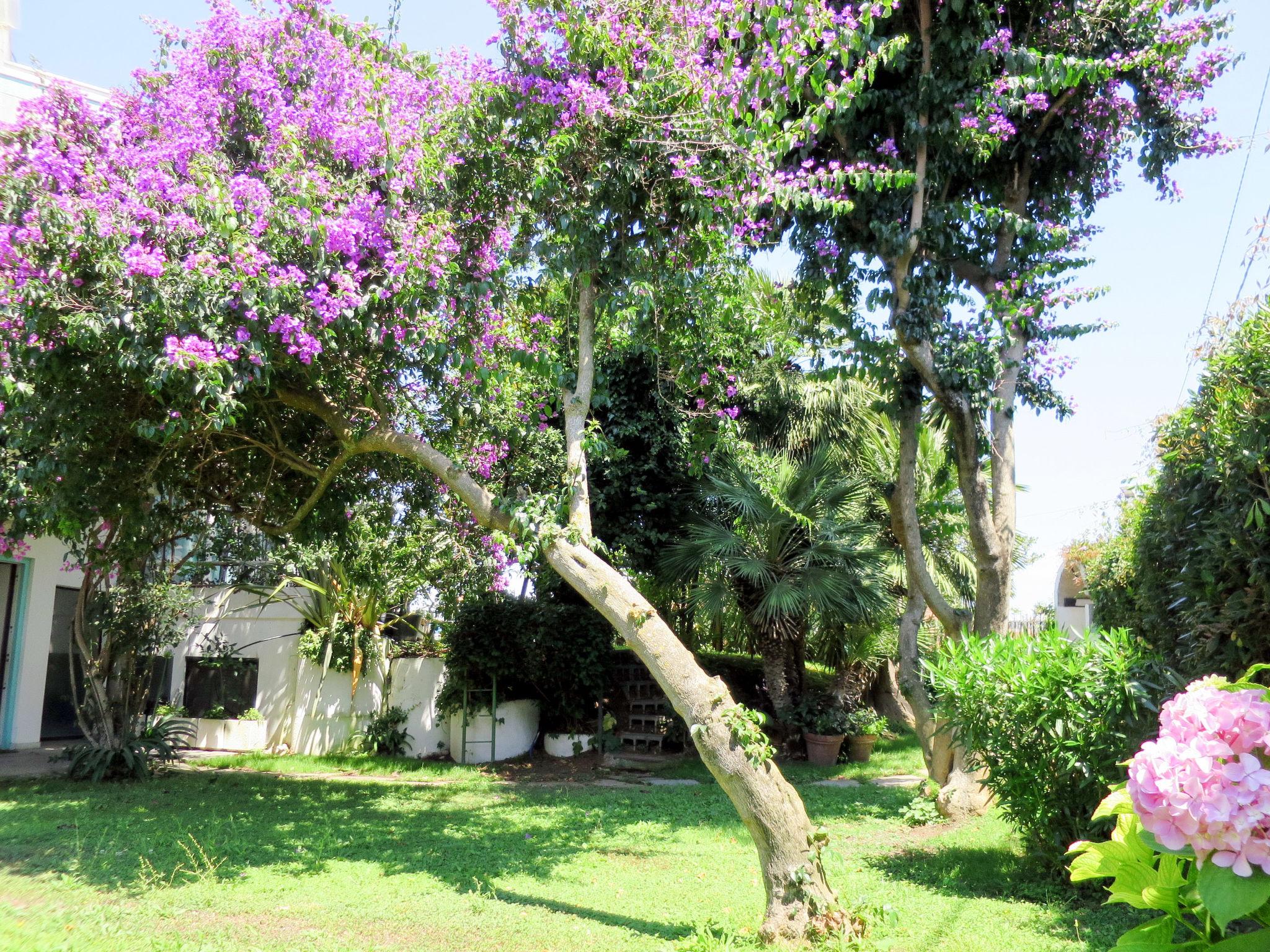 Photo 35 - Maison de 4 chambres à Nettuno avec jardin et vues à la mer