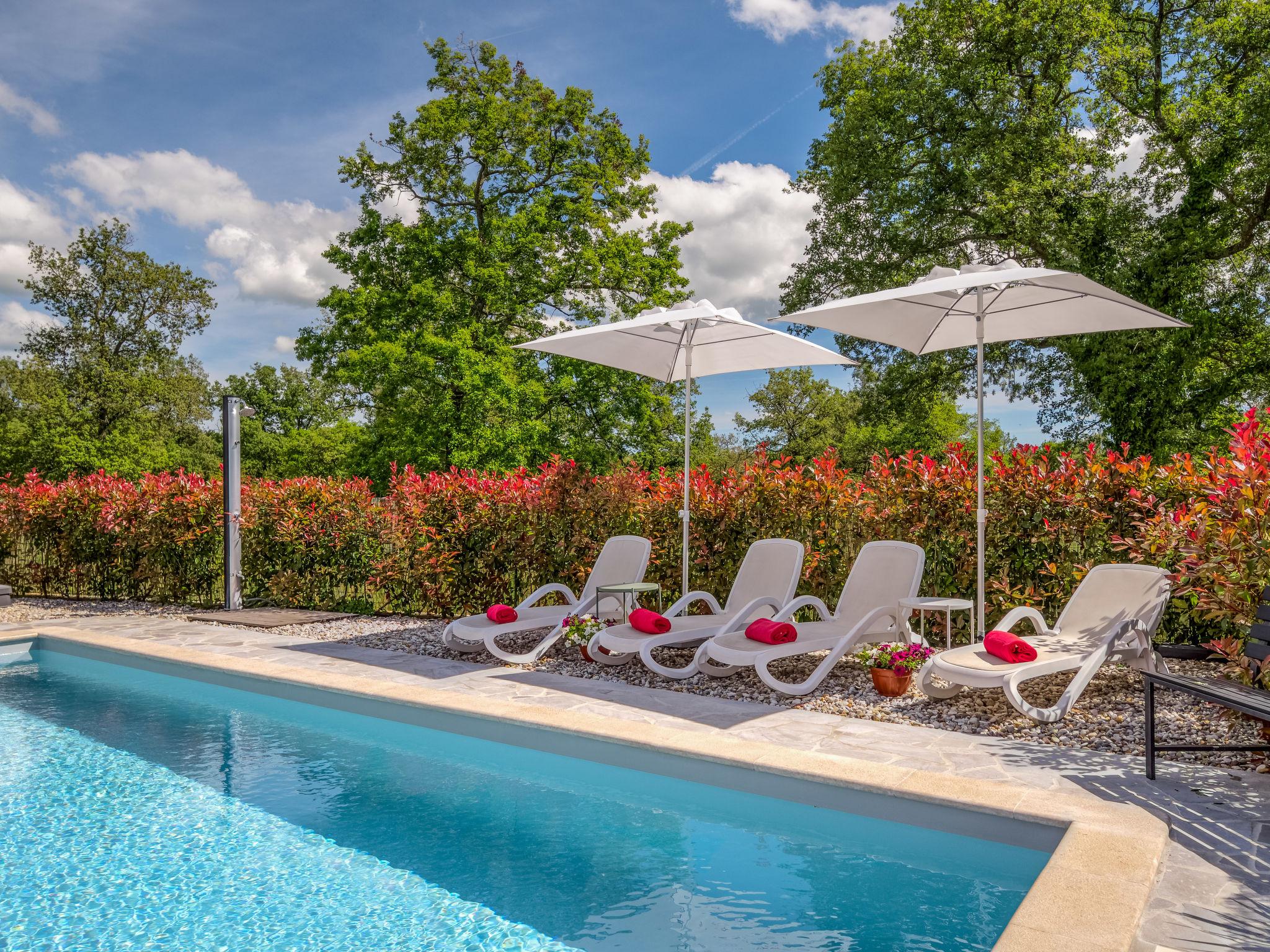 Photo 22 - Maison de 3 chambres à Sveti Lovreč avec piscine privée et jardin